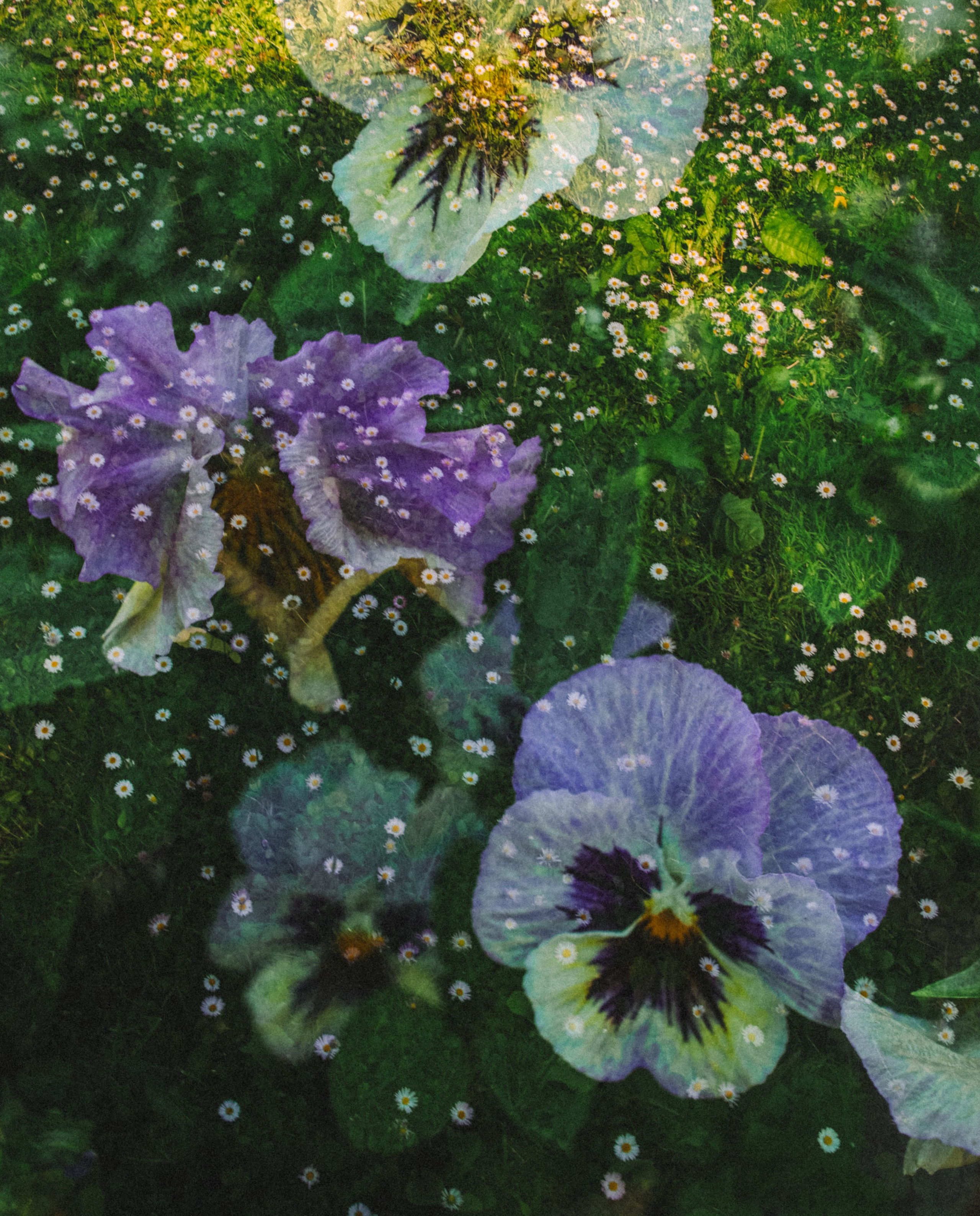 Природа &. Фотохудожник в СПб