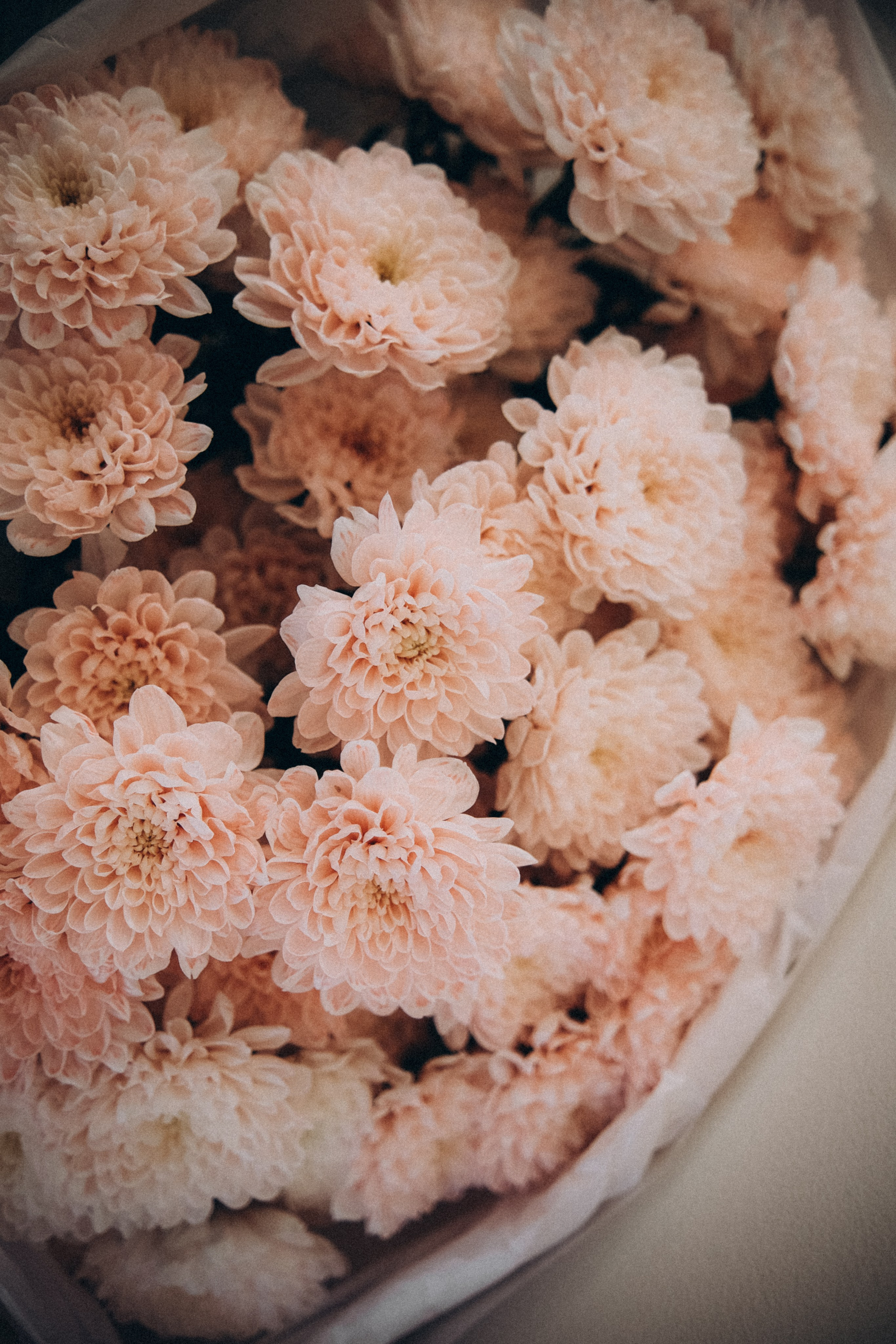 Рида & Богдан. Пушкин. Phdkvmr.ru