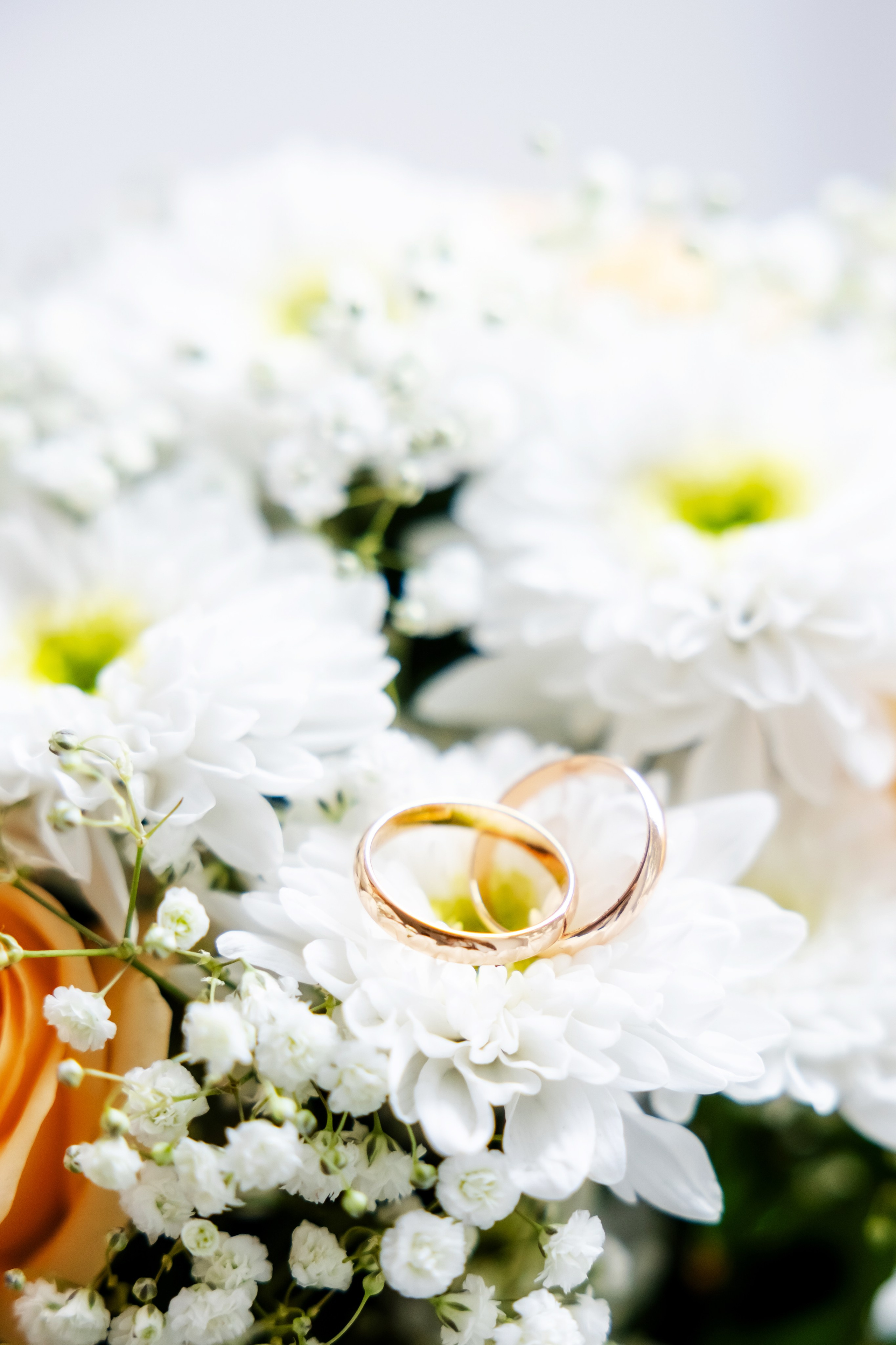 Виктория и Алексей. Семейный фотограф в Марксе Светлана Шибаршина