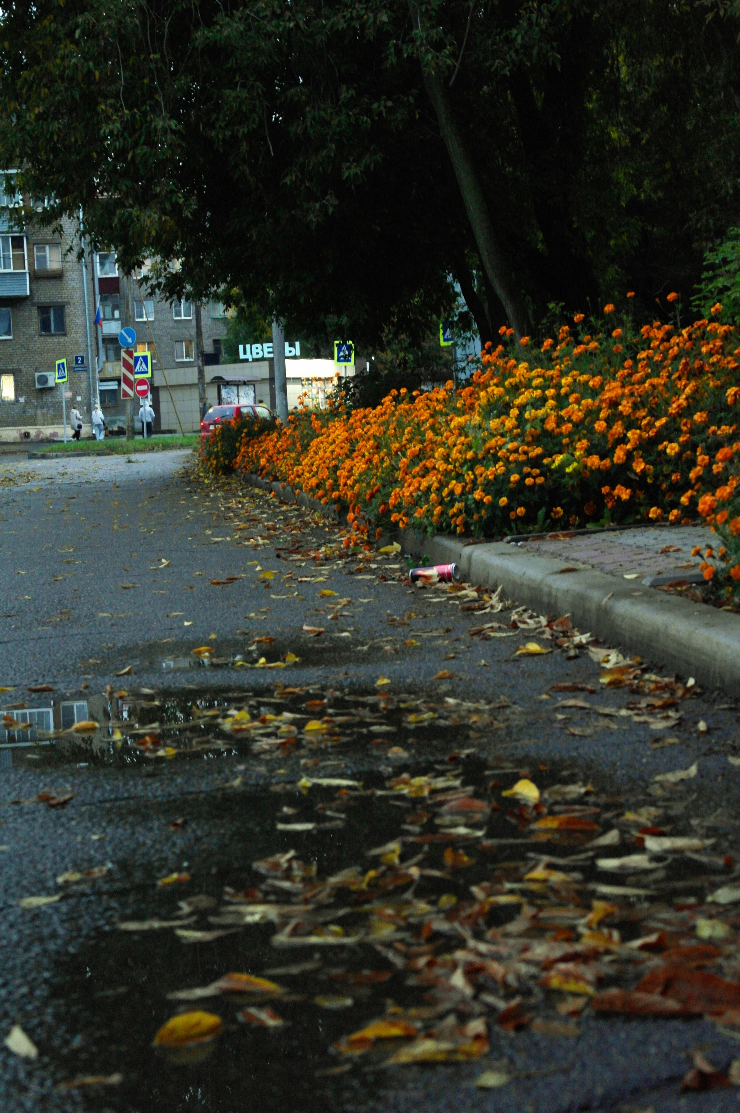 Сентябрь 2025. Den Mirov — Фотограф, Музыкант