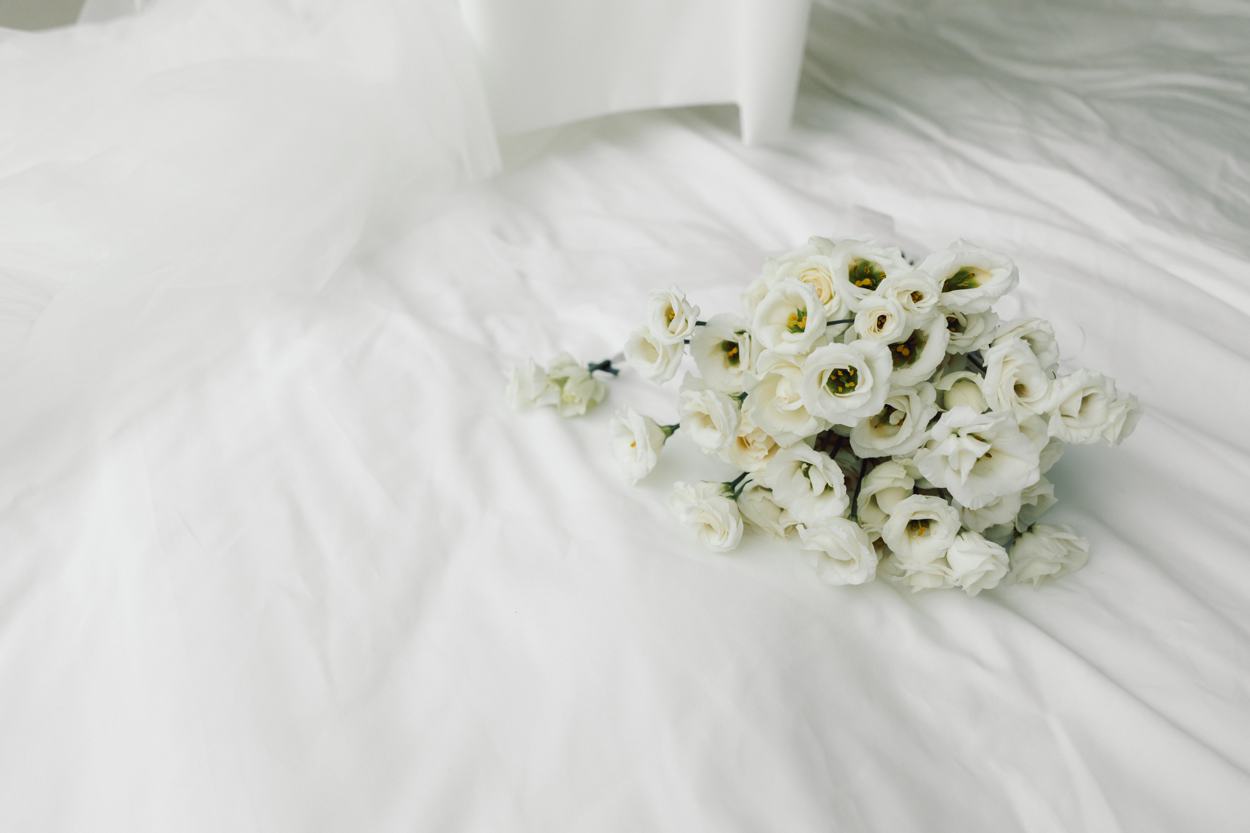 Екатерина и Илья. Фотограф в Санкт-Петербурге Виктория Безверхая