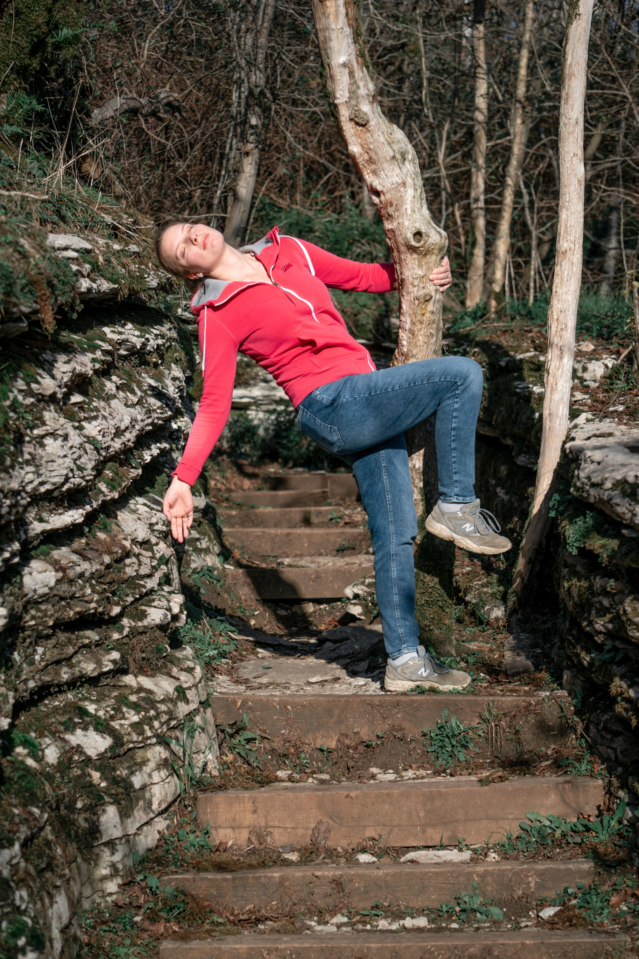 Тисо-самшитовая роща. Yaratezza production