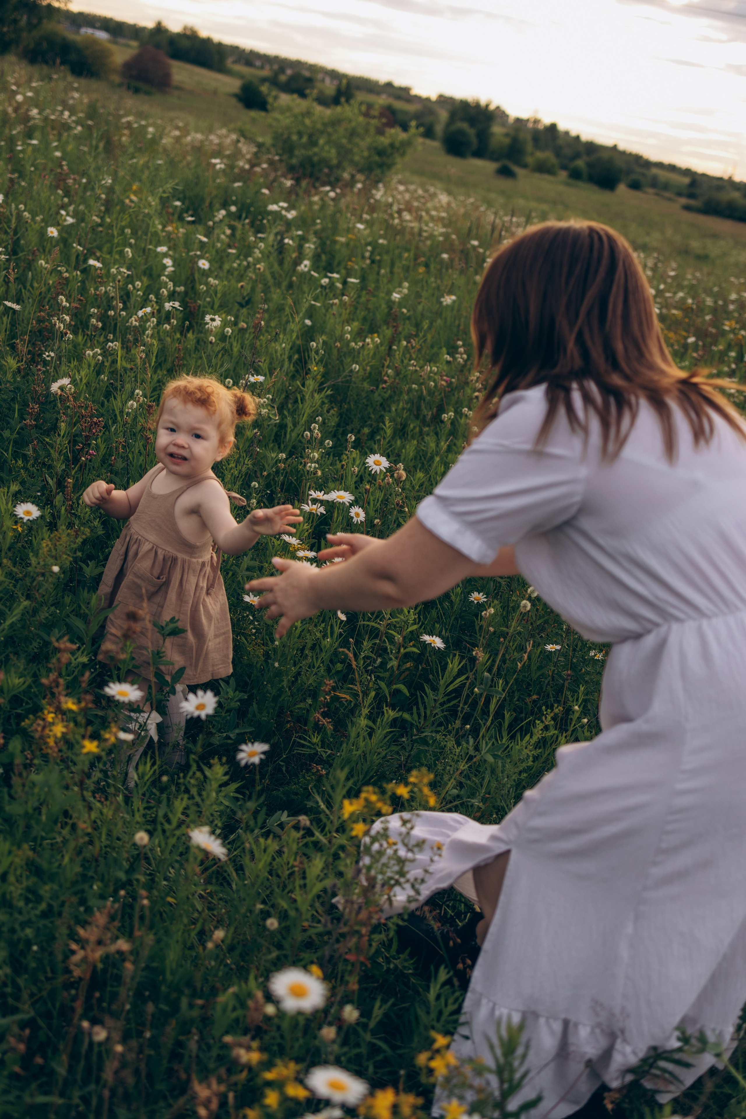 Мира и ромашки