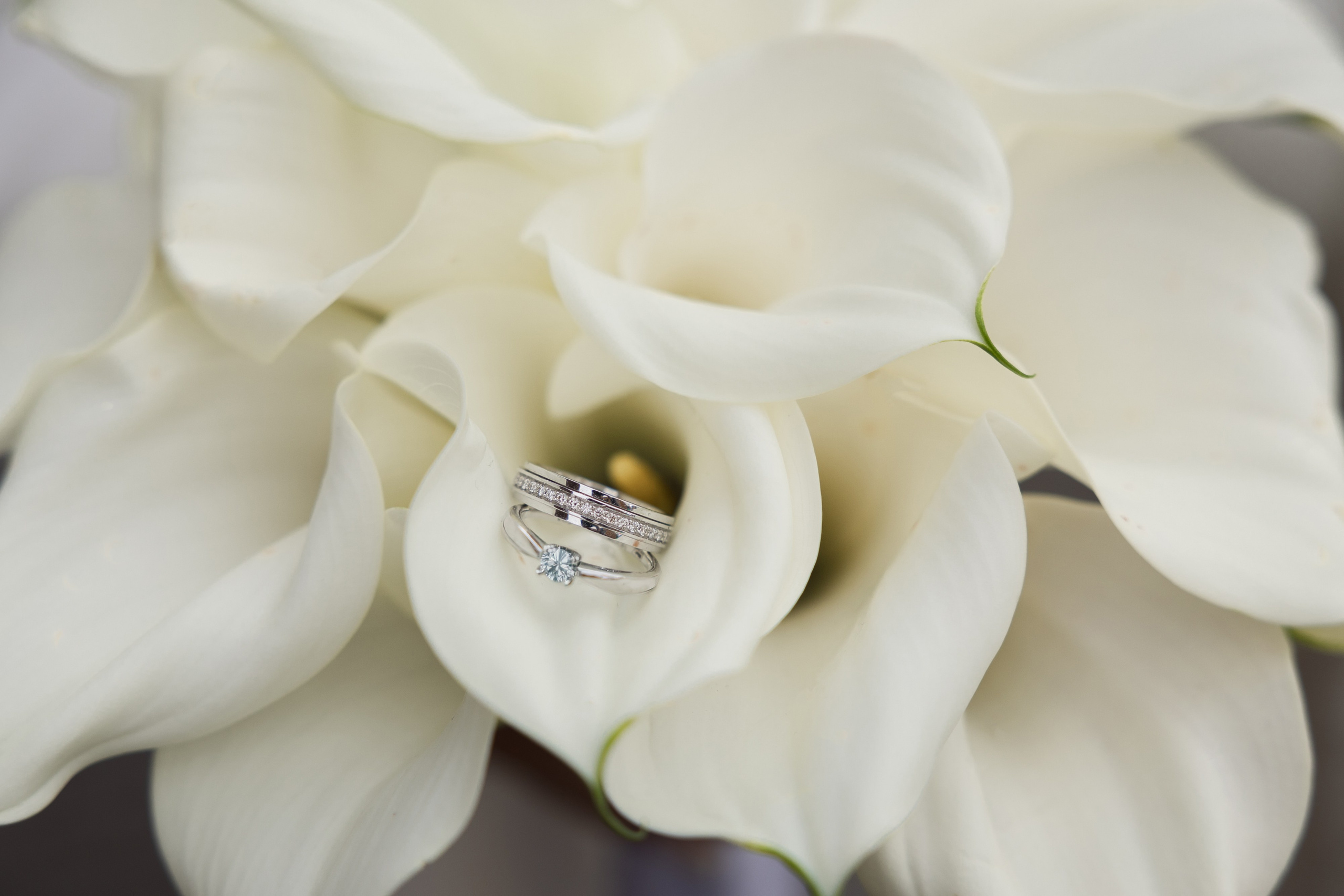 Барвиха + Армянский храм. Свадебный и портретный фотограф в Москве Мария Кравченко