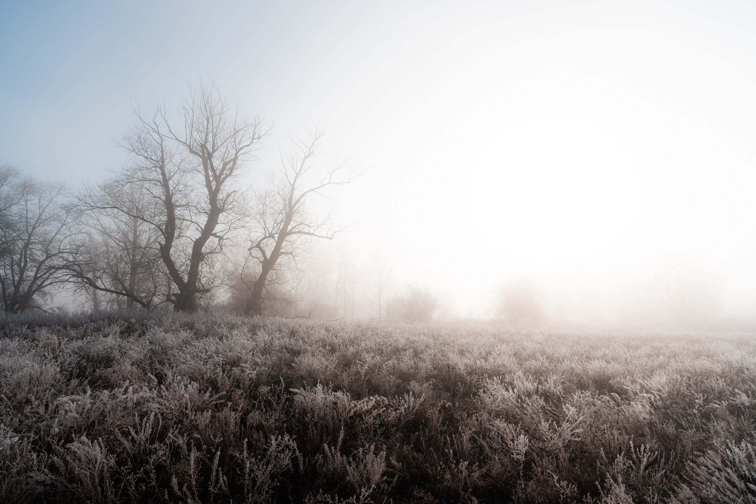 Фотографии утреннего тумана под Волжским. Фотограф в Волгограде и Волжском Александр Горбань