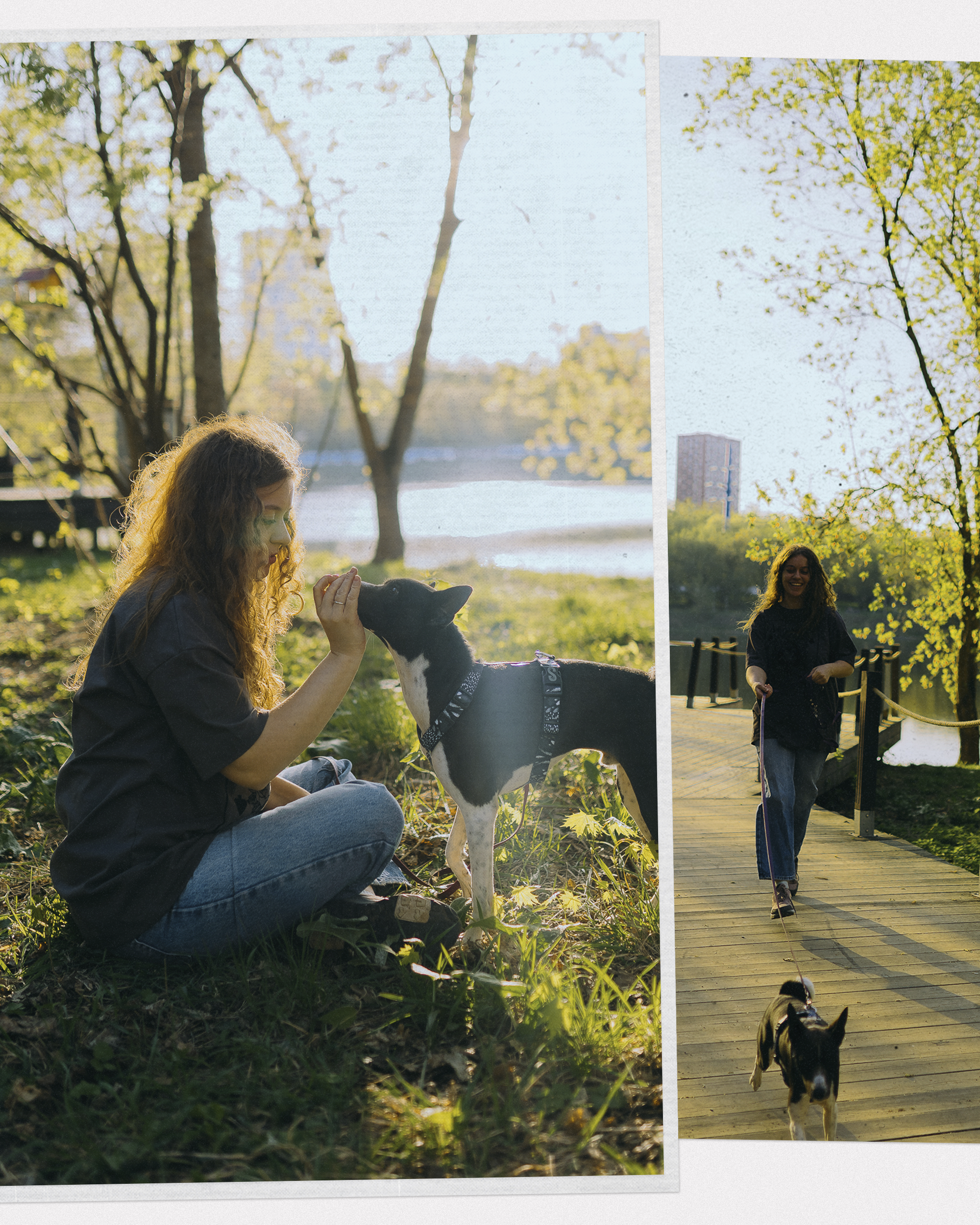 🐶. Фотограф Вика Про