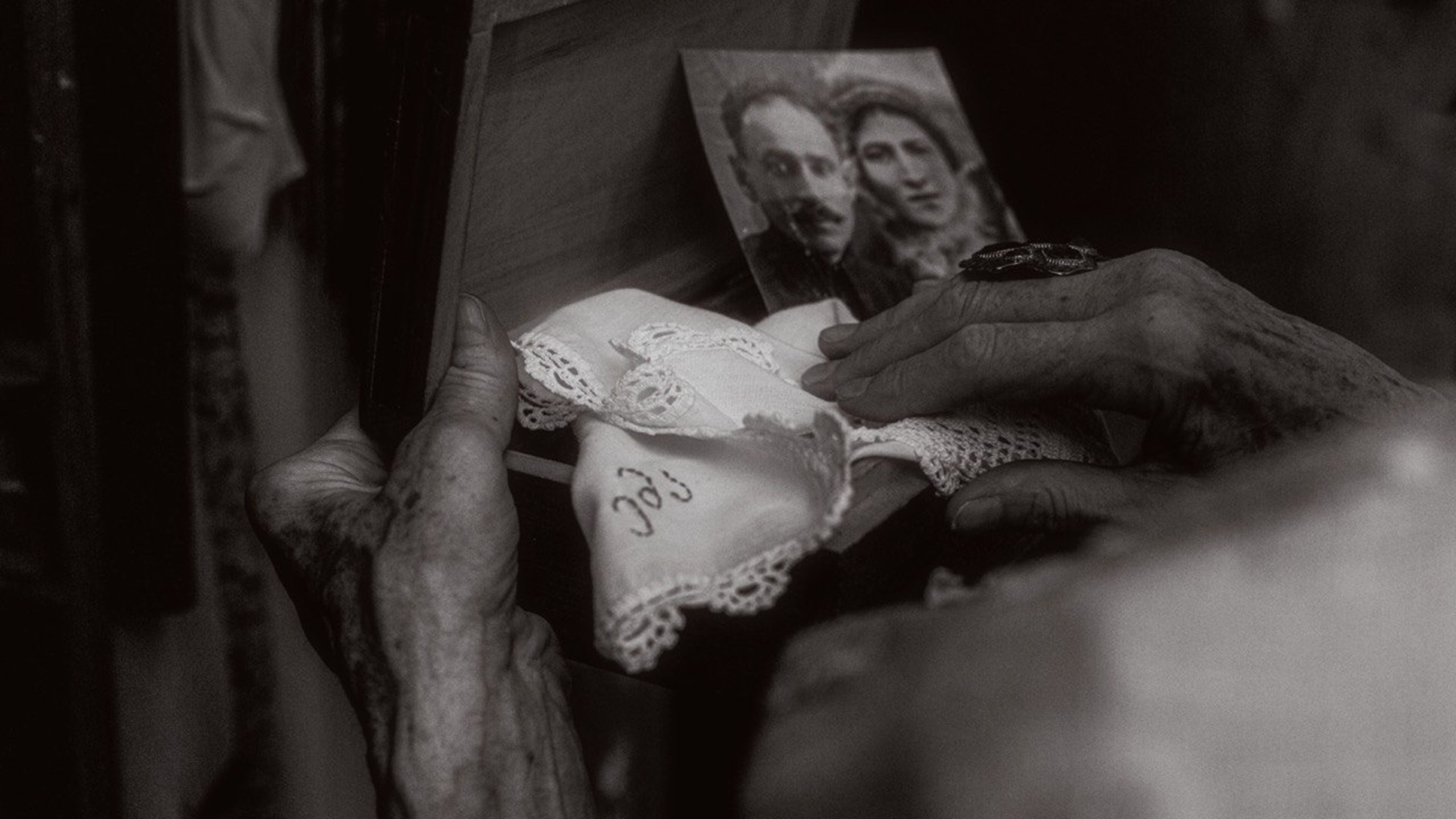 Проект «Кокон» — участник выставки LUX PICTURA в галерее Art Maison. Ekaterina Beridze