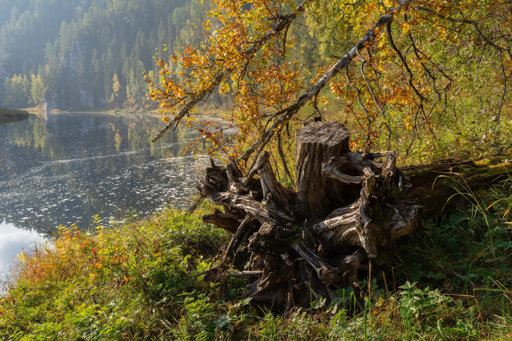 Осенний пейзаж на берегу Чусовой