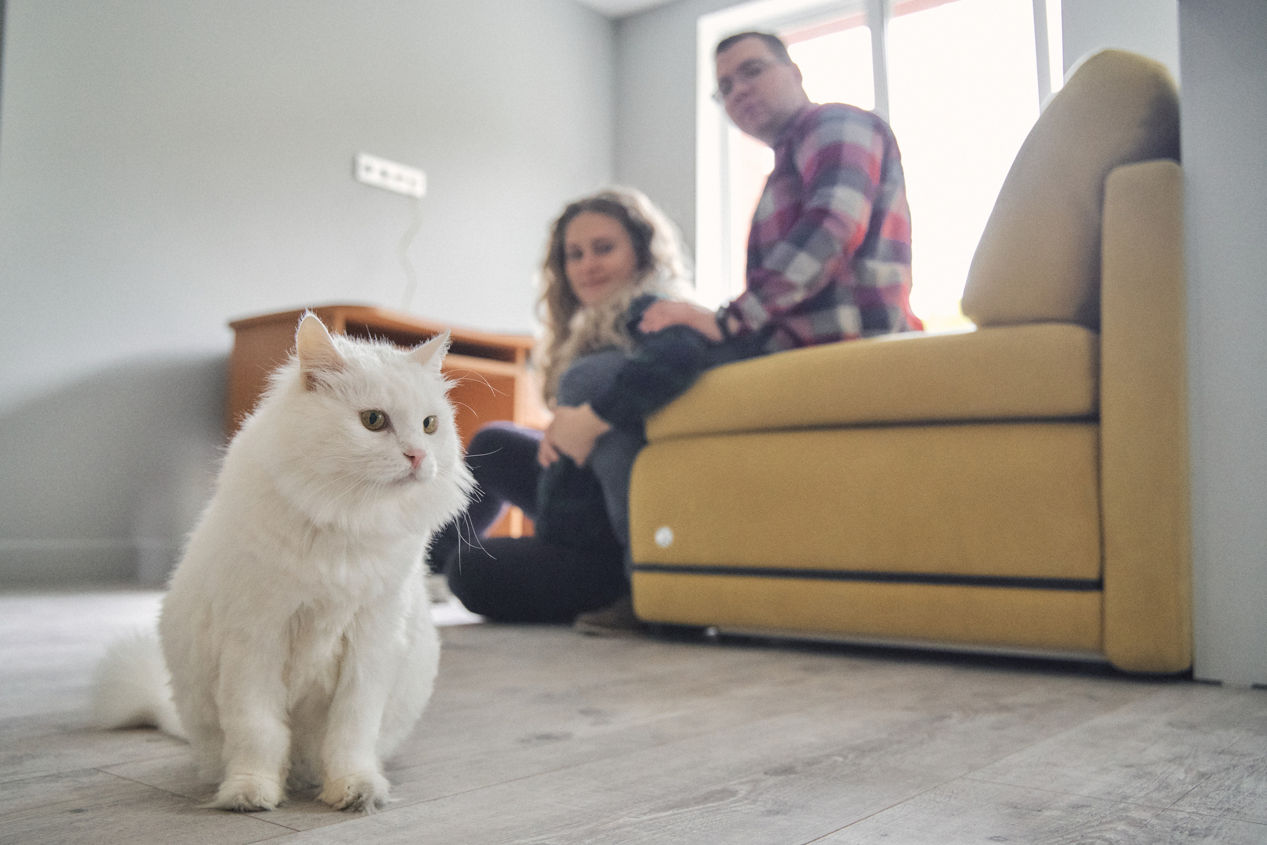 Домашние истории. Фотограф новорожденных во Владивостоке Ромашко Виктория