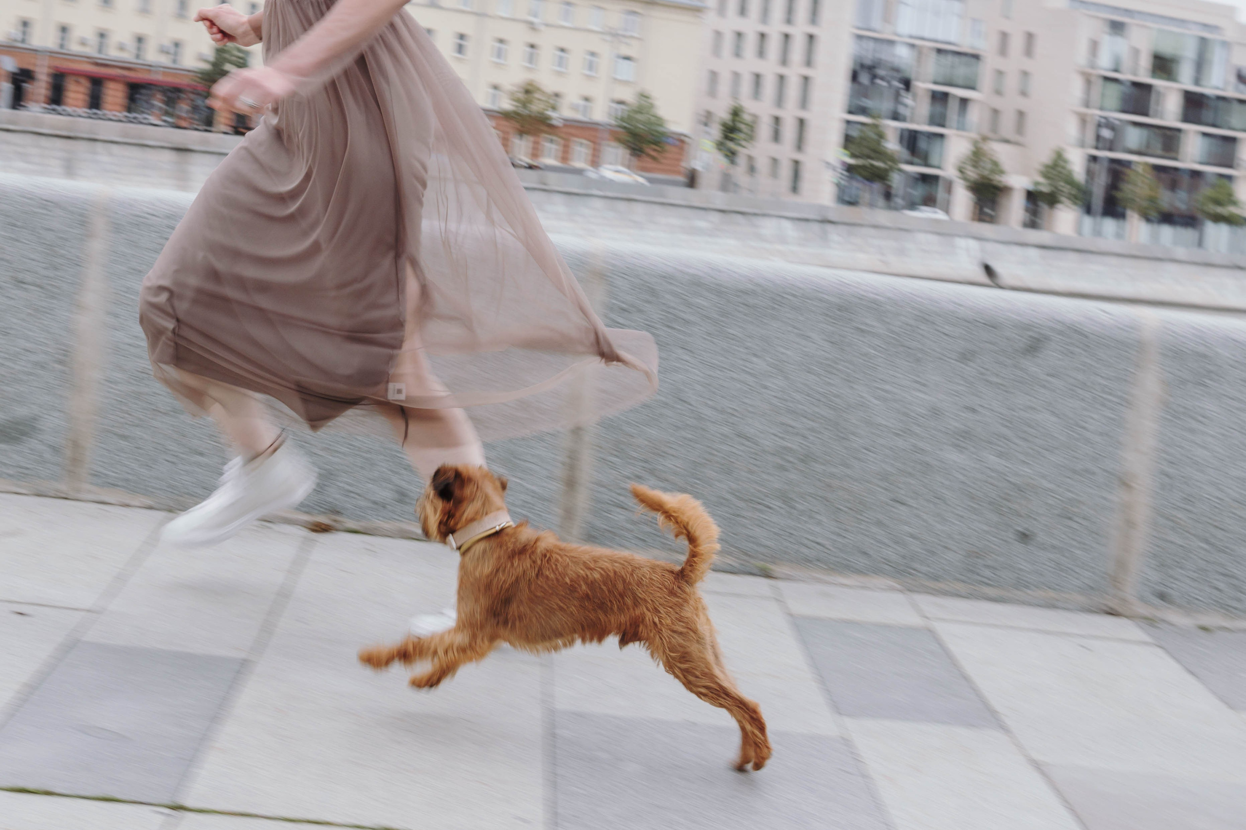 Наташа, Сережа и Хавьер. Фотограф-анималист Ксения Воробьева, Москва