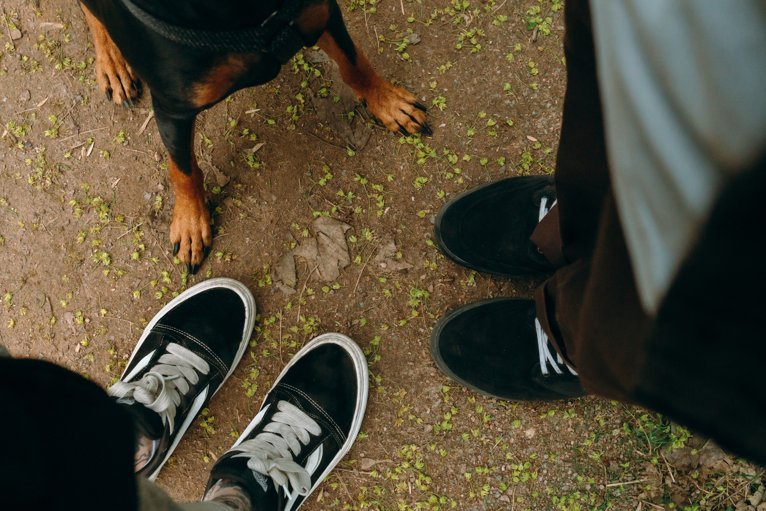 Кира, Максим и Аскара. Фотограф-анималист Ксения Воробьева, Москва