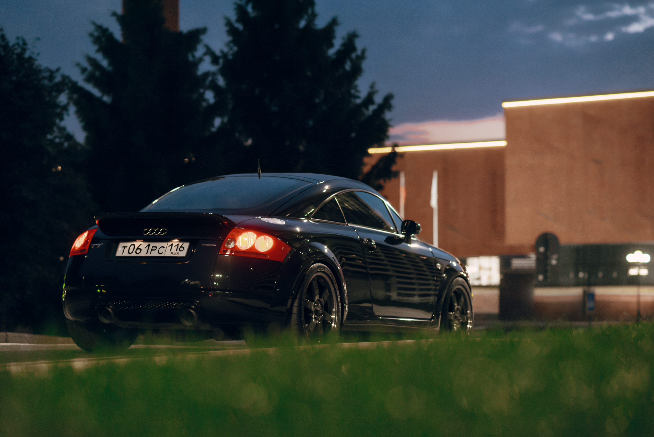 Audi TT 8N. DeLorein