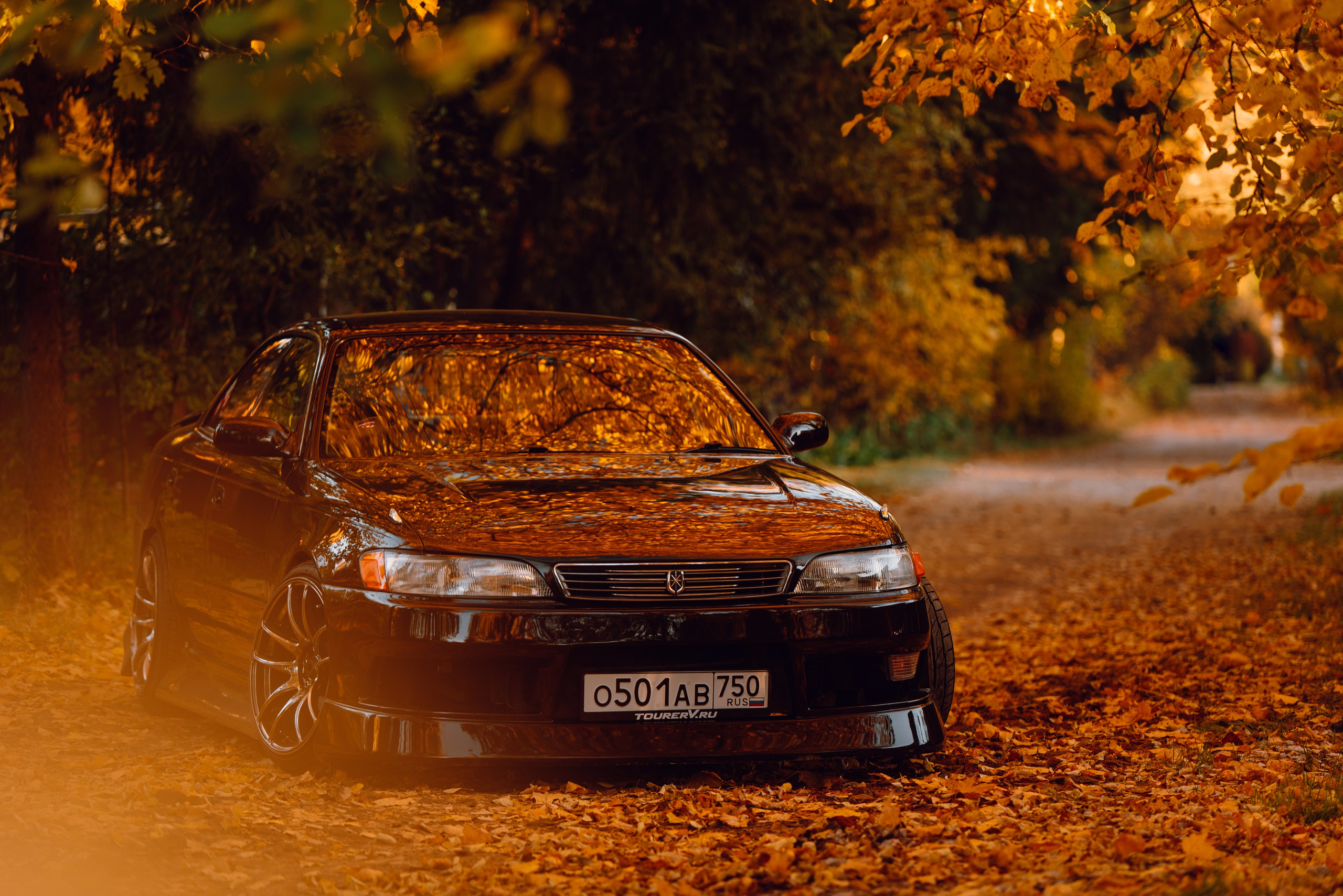 Toyota Mark ii _k_koroleva. DeLorein