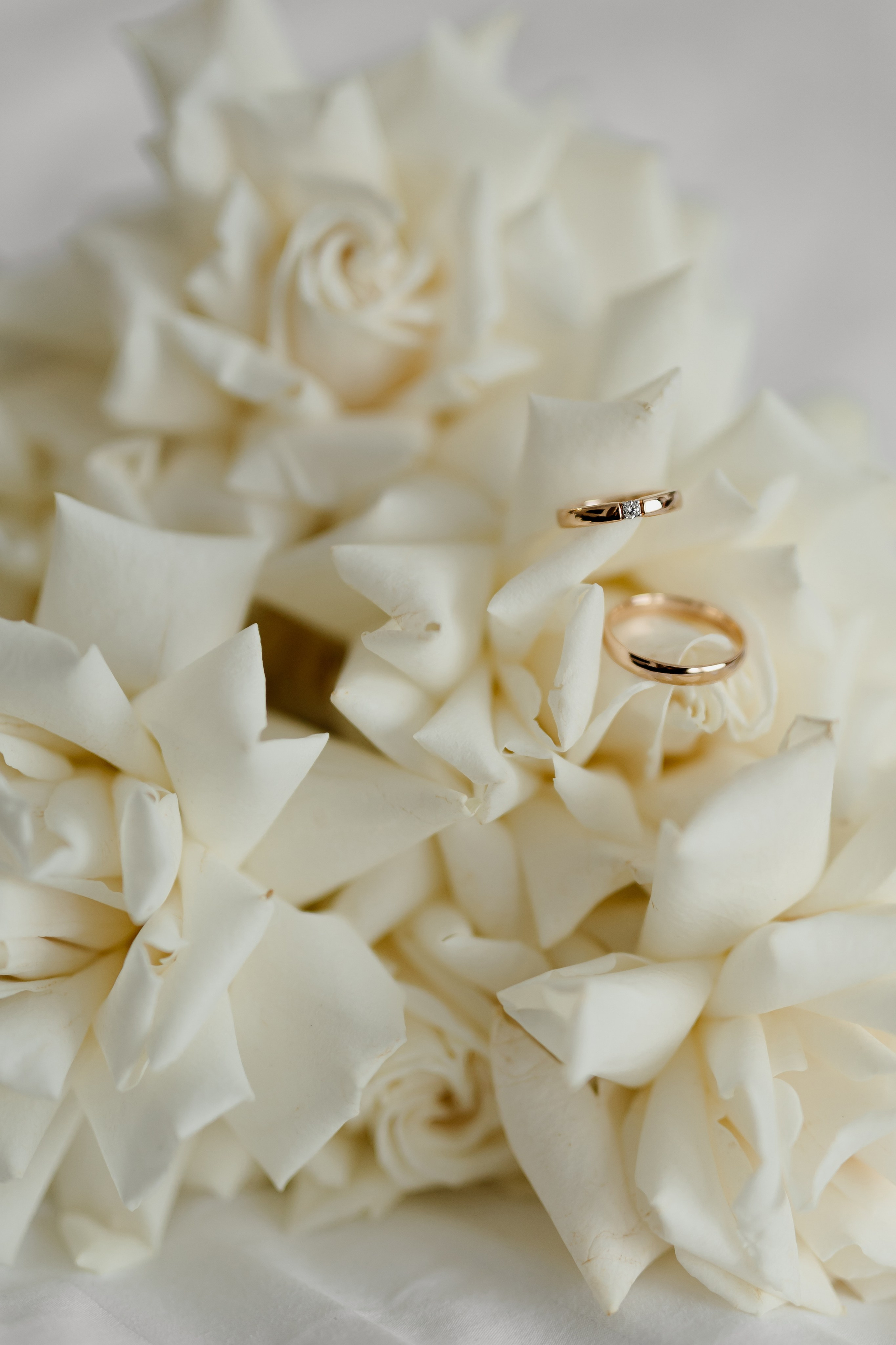 Свадьба Михаила и Анастасии. Фотограф Кольчугино/Владимир/Москва Елизавета Иода