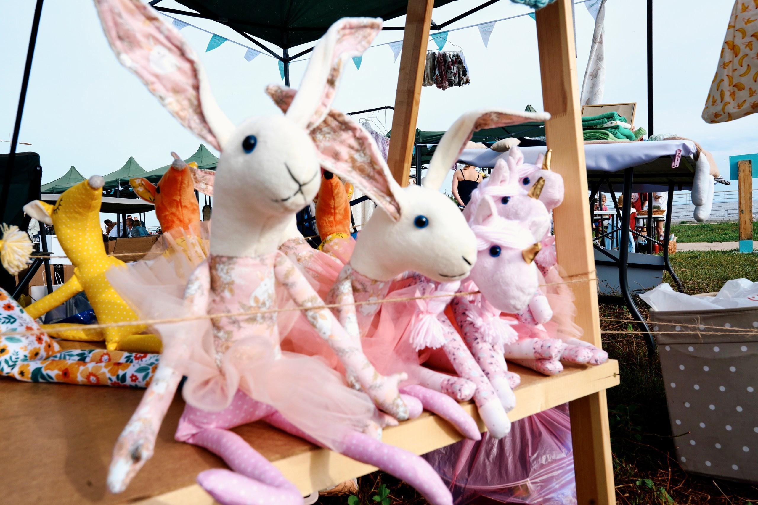 Пляжный маркет 2024, г. Лаишево. Фотограф Казань