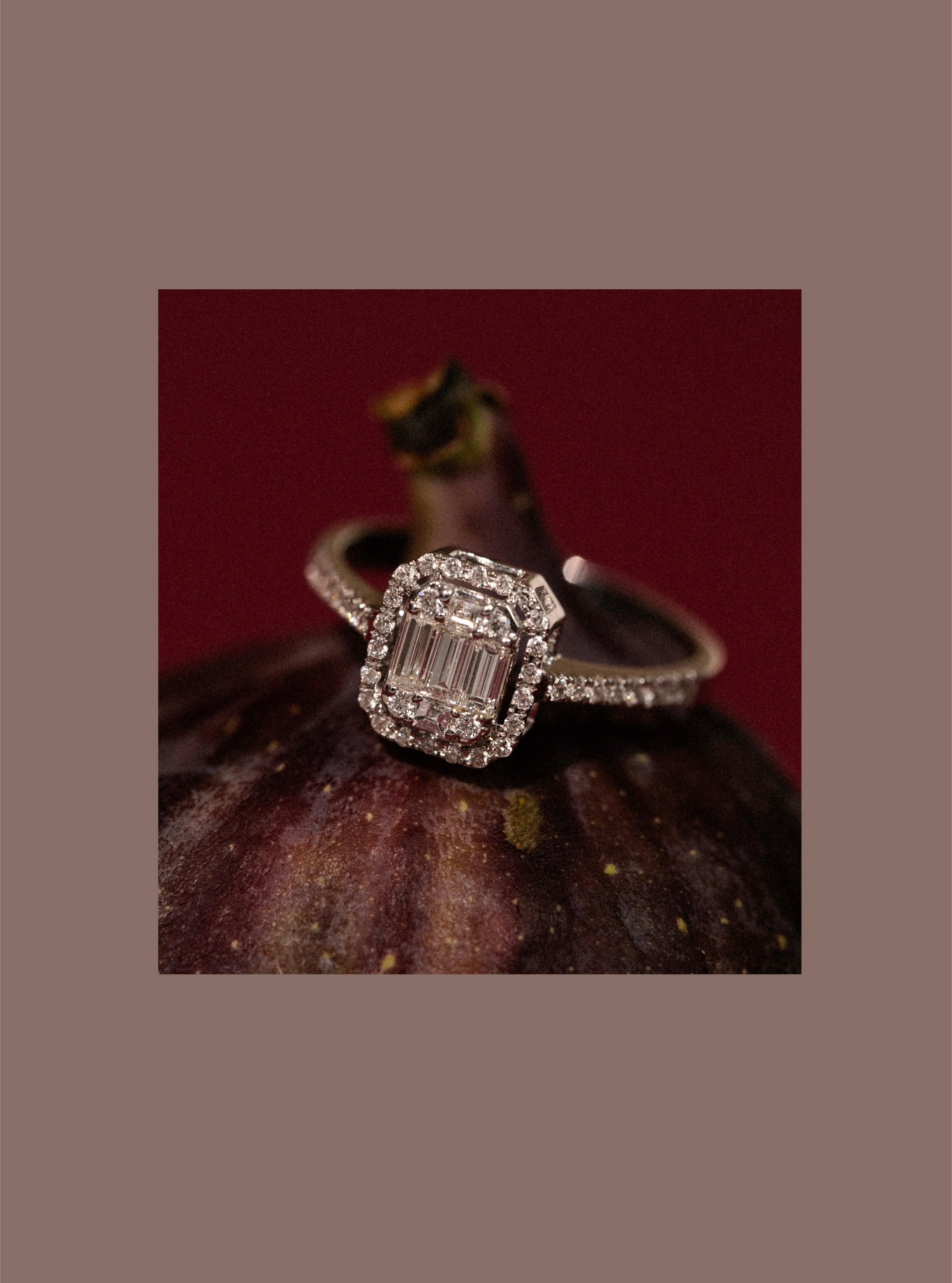 Jolie. Фотограф Шевчик Виктория