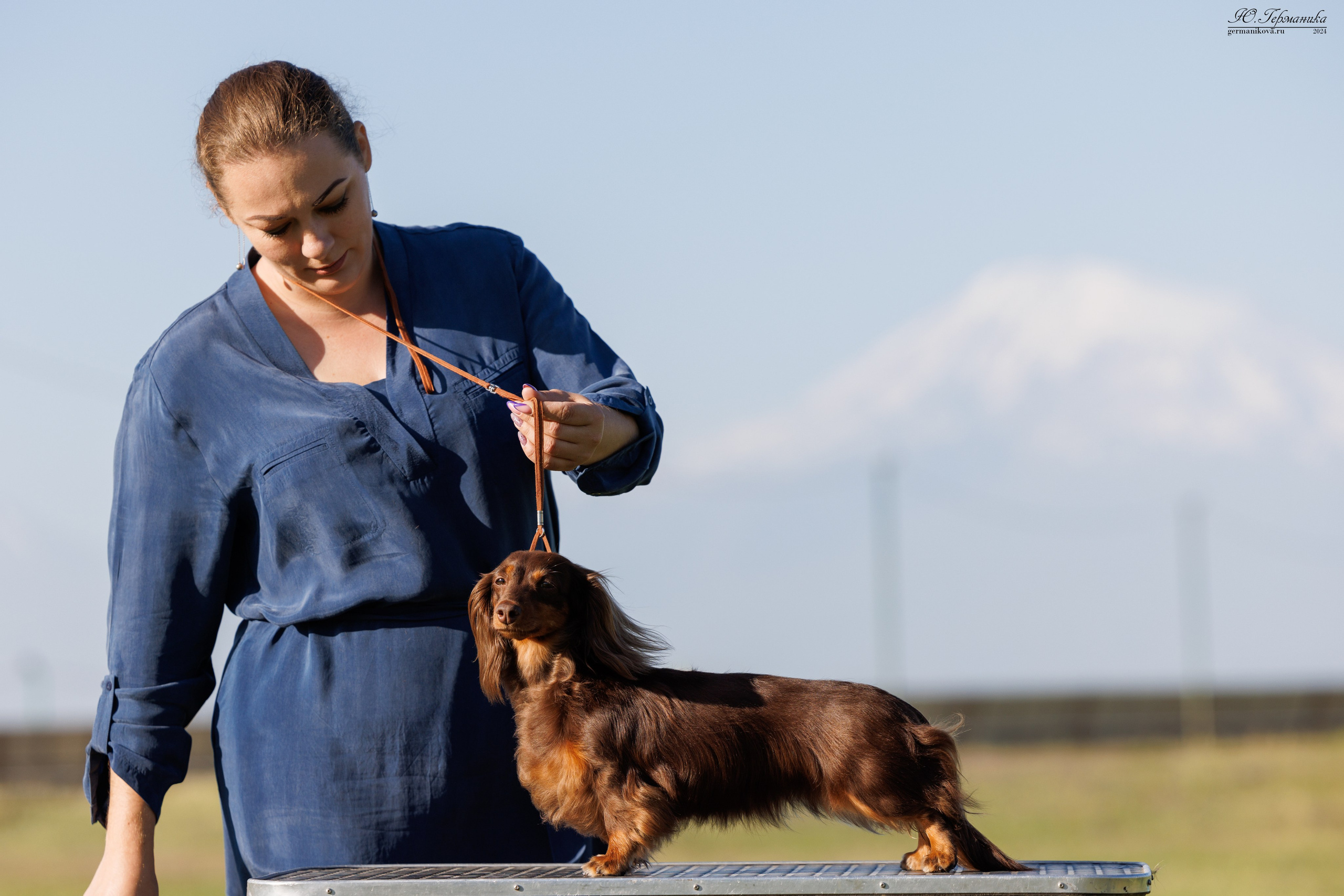 Ереван 3-5.06.2024. Фотограф-анималист Юлия Германика