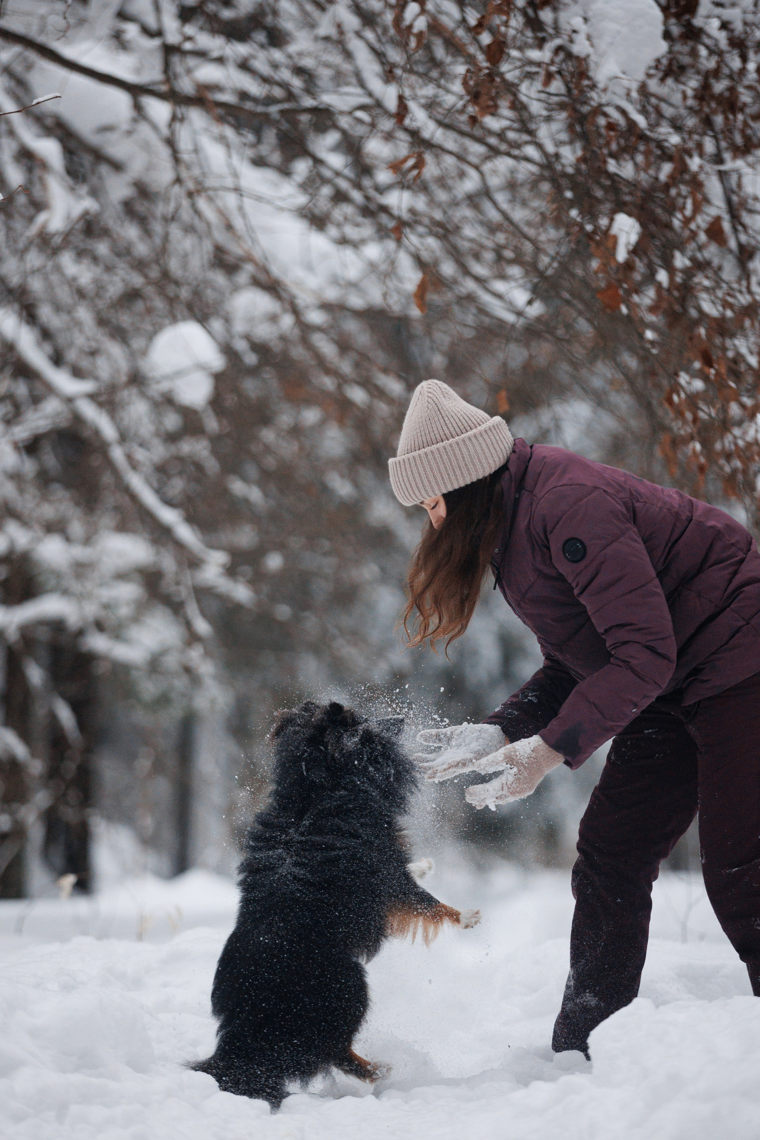Даша и компания. Фотограф анималист Кристина Карпова, Москва