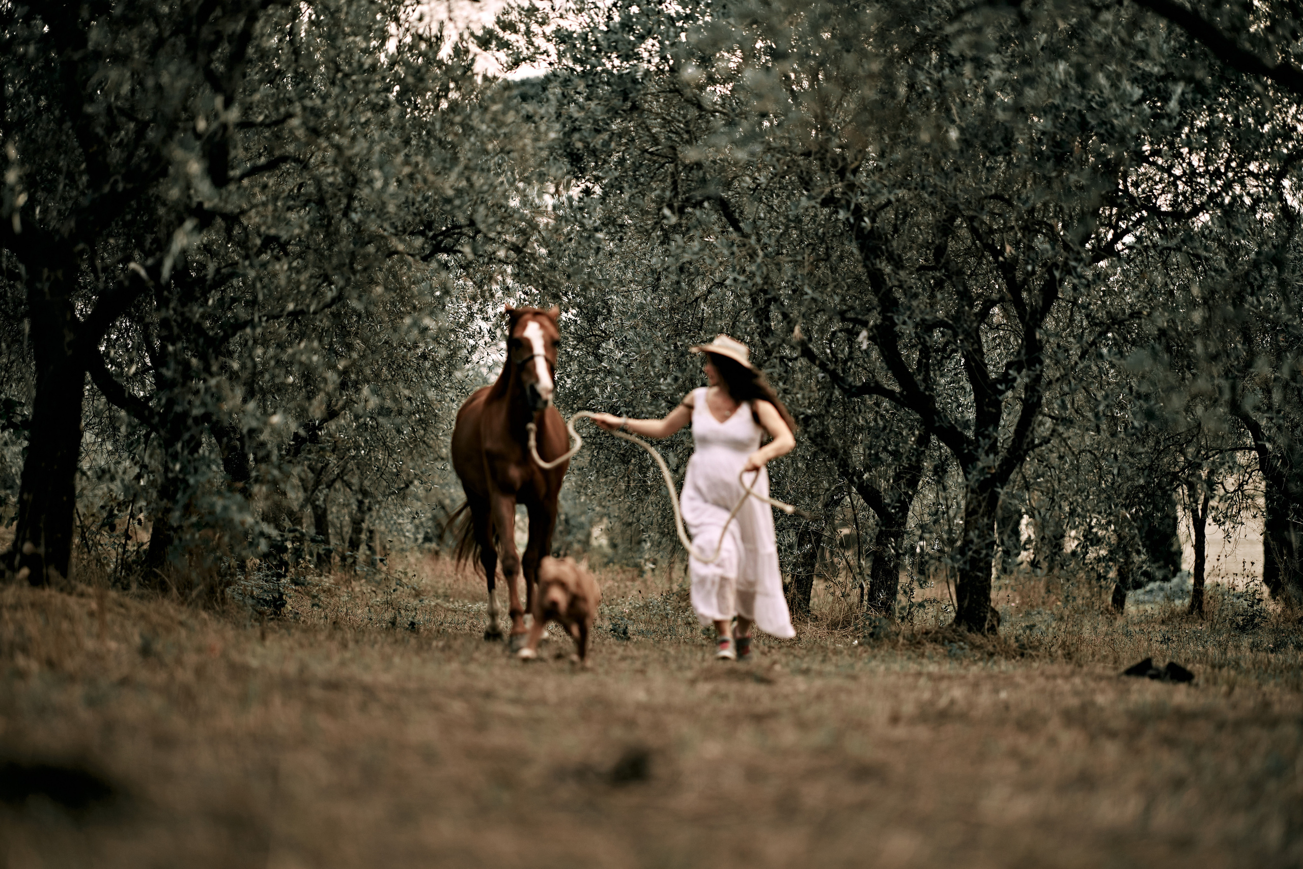 Gravidanza. Fotografo di famiglie e ritrattista in Italia (Toscana)