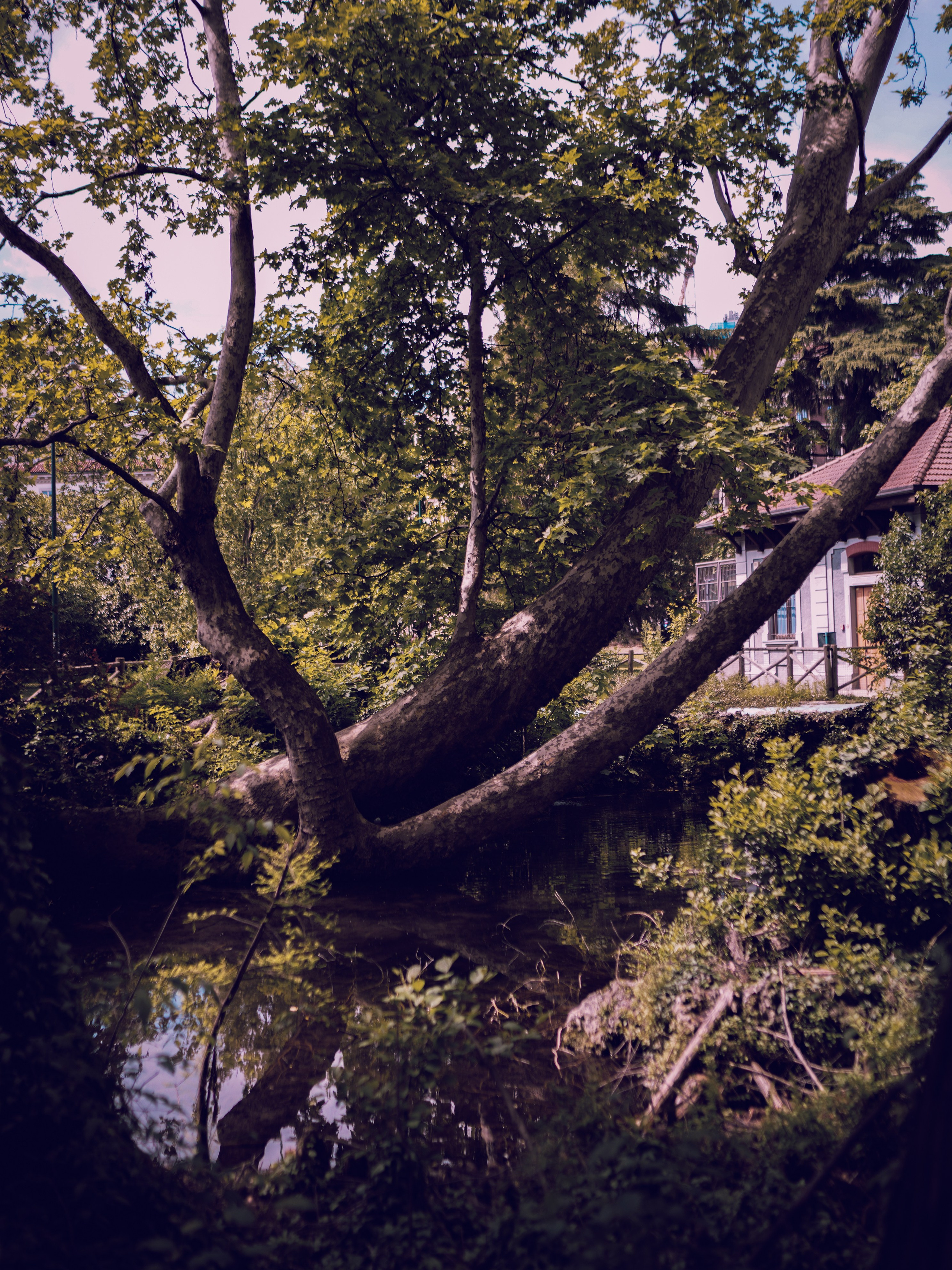 Природа и животные. Творческий фотограф Ирина Баландина.  Санкт-Петербург, Мурманск