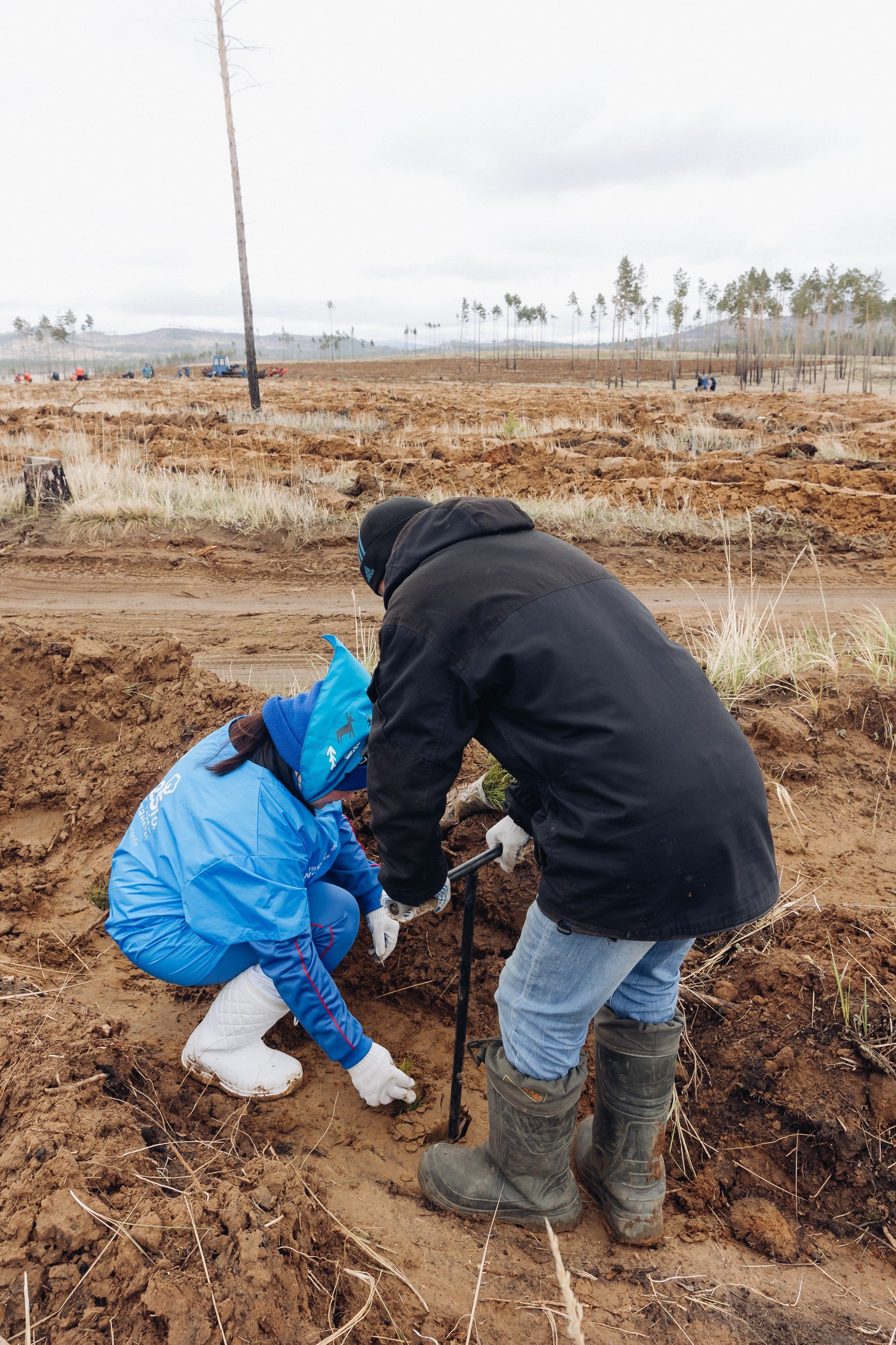 Siberian wellness. Ежегодная акция по посадке деревьев. Свадебный и семейный фотограф в Улан-Удэ