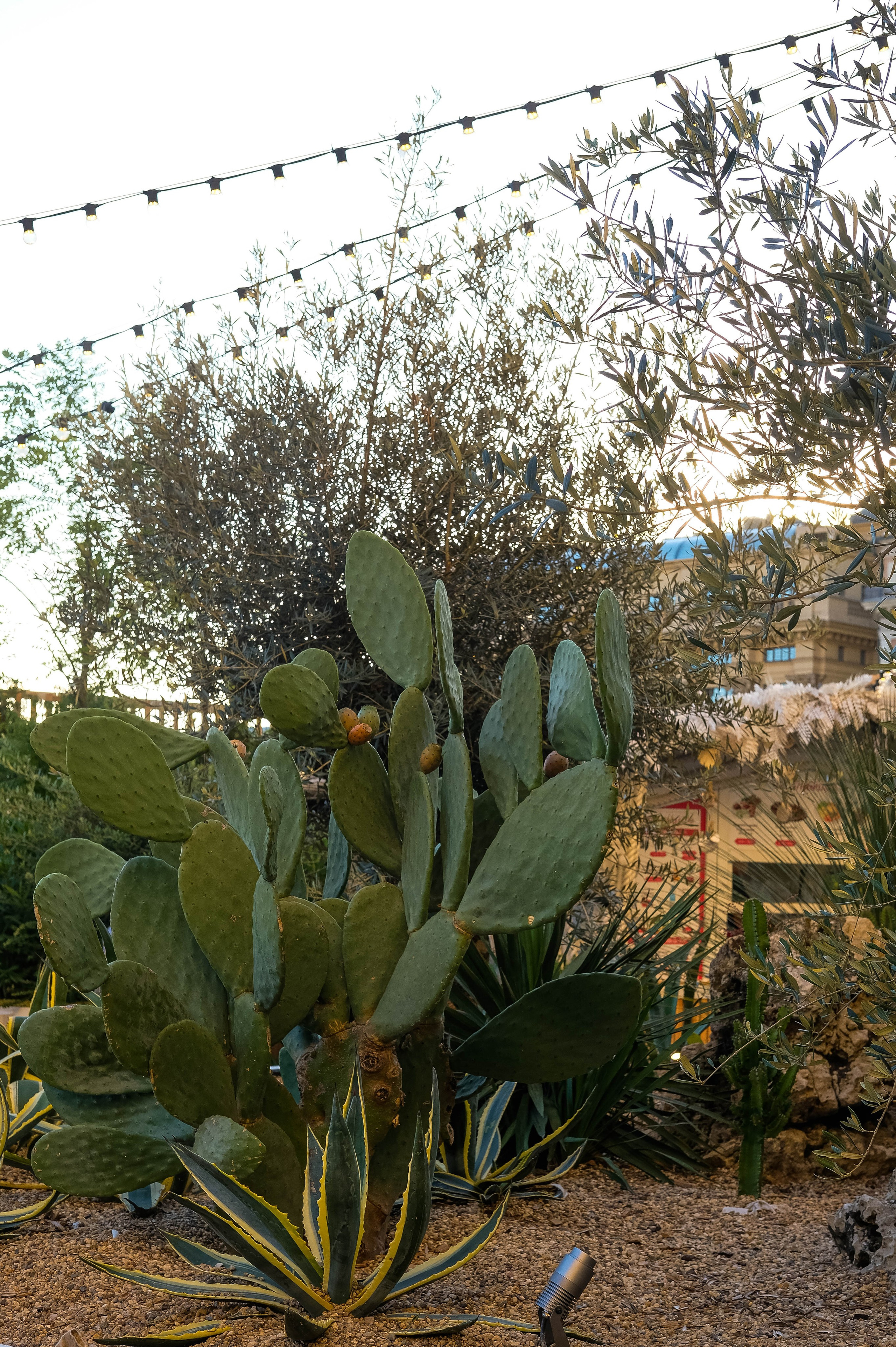 Москва 2024. Свадебный и семейный фотограф в Новосибирске, Санкт-Петербурге, Москве