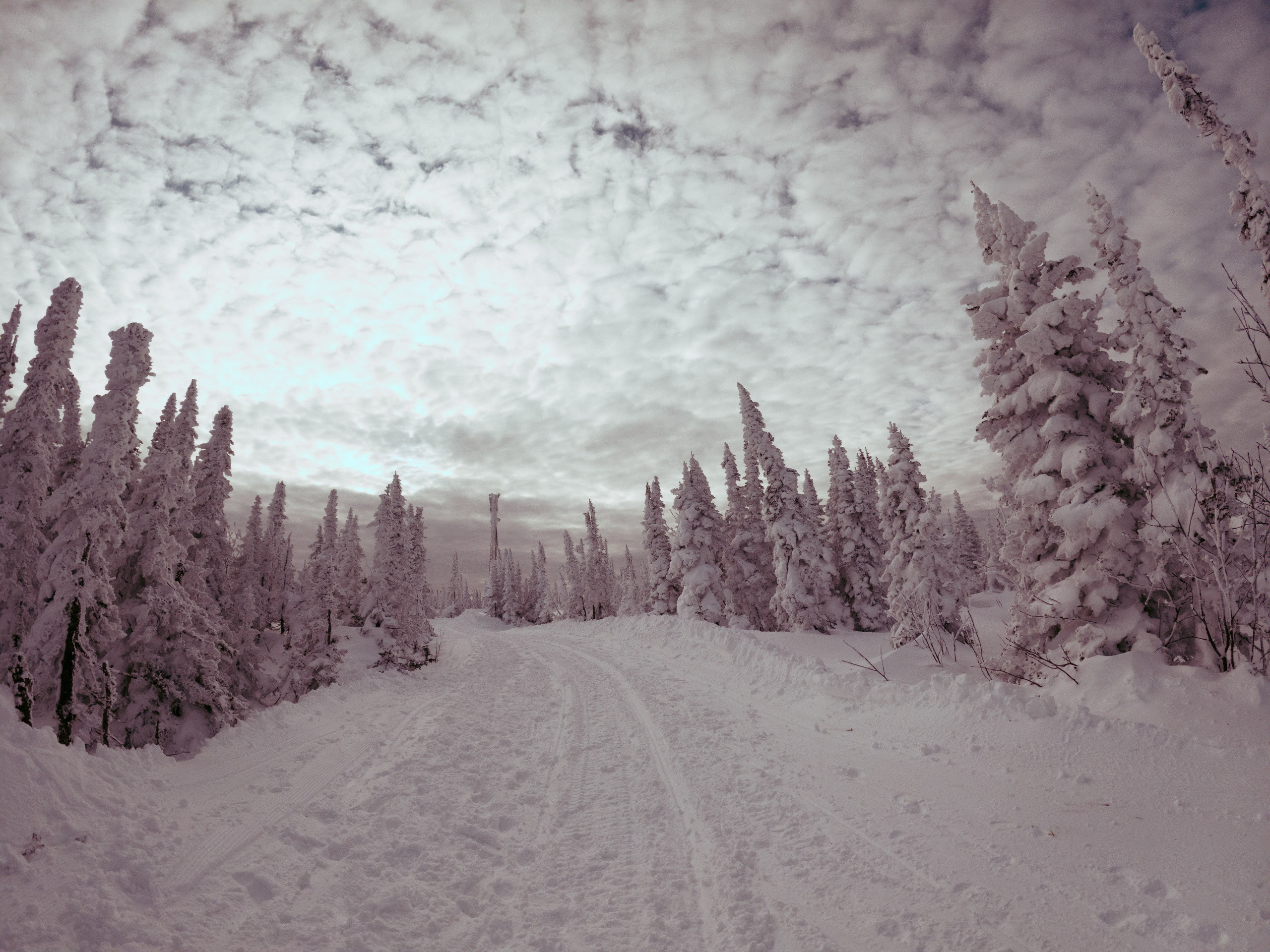 Sheregesh \ november 2024 \ GOPRO. Коммерческий Фотограф Виктор Фоменых