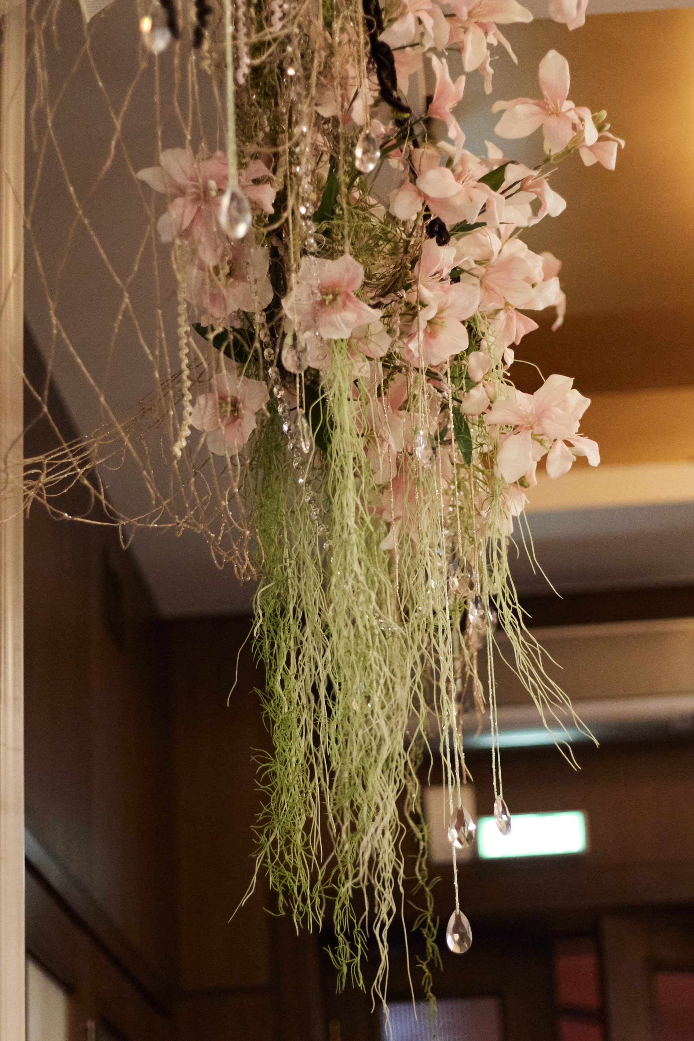 AMUR — 8 МАРТА. СВОИ. ФОТООТЧЕТЫ-СОБЫТИЯ-МЕСТА