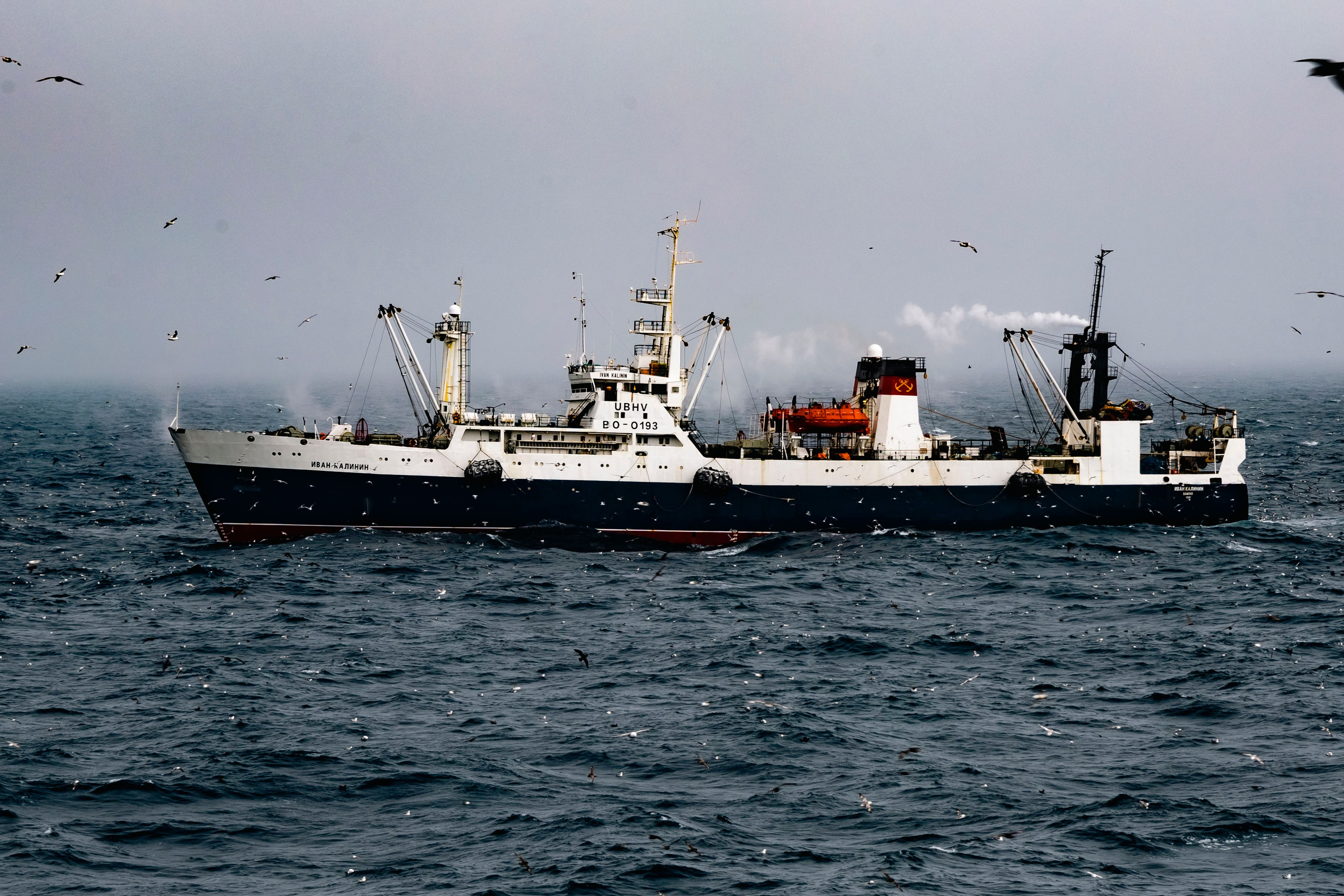 Когда я в море. Часть 2. Фотограф г. Владивосток