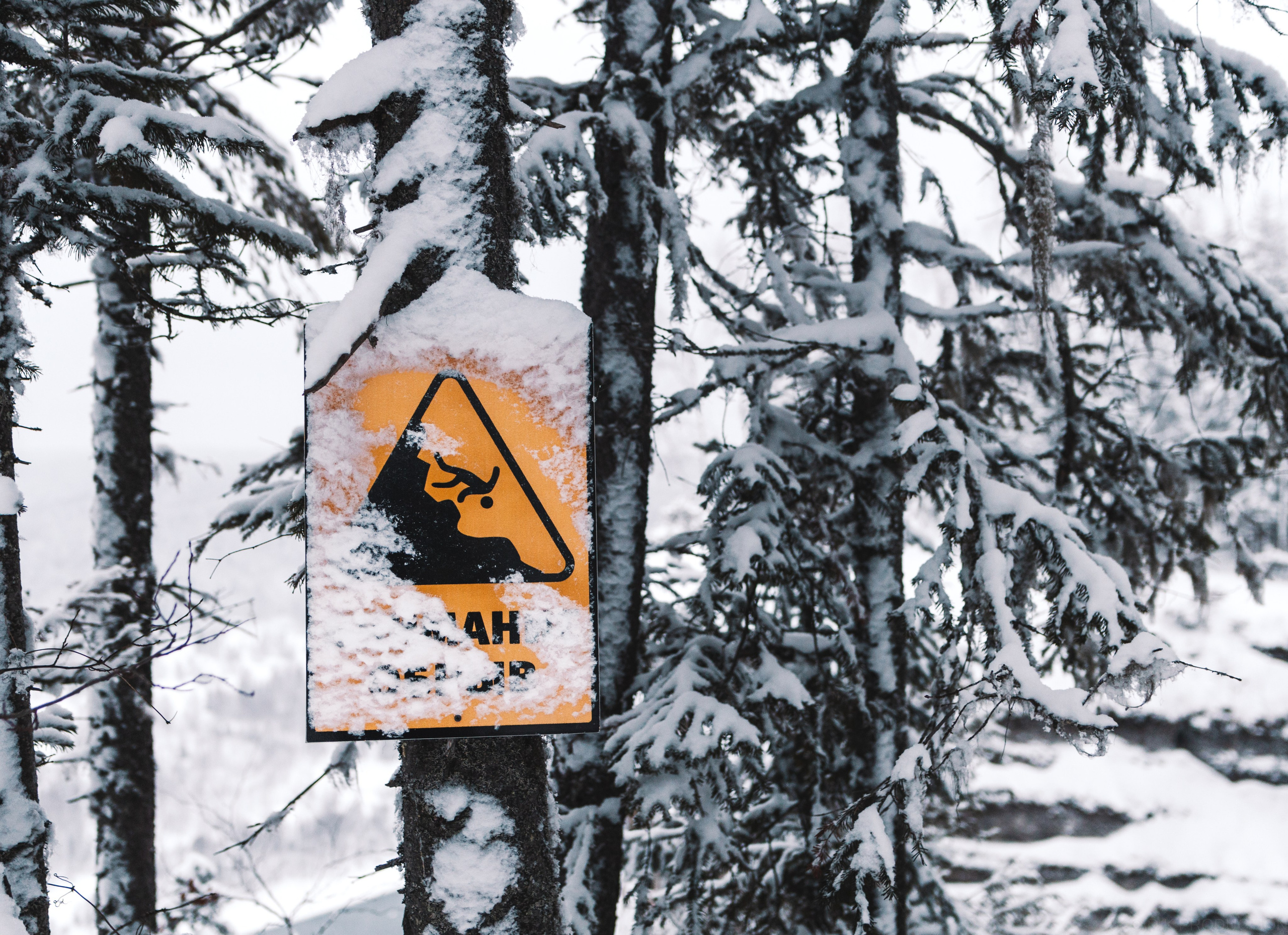 Экспедиционная фотосессия в горах/на природе