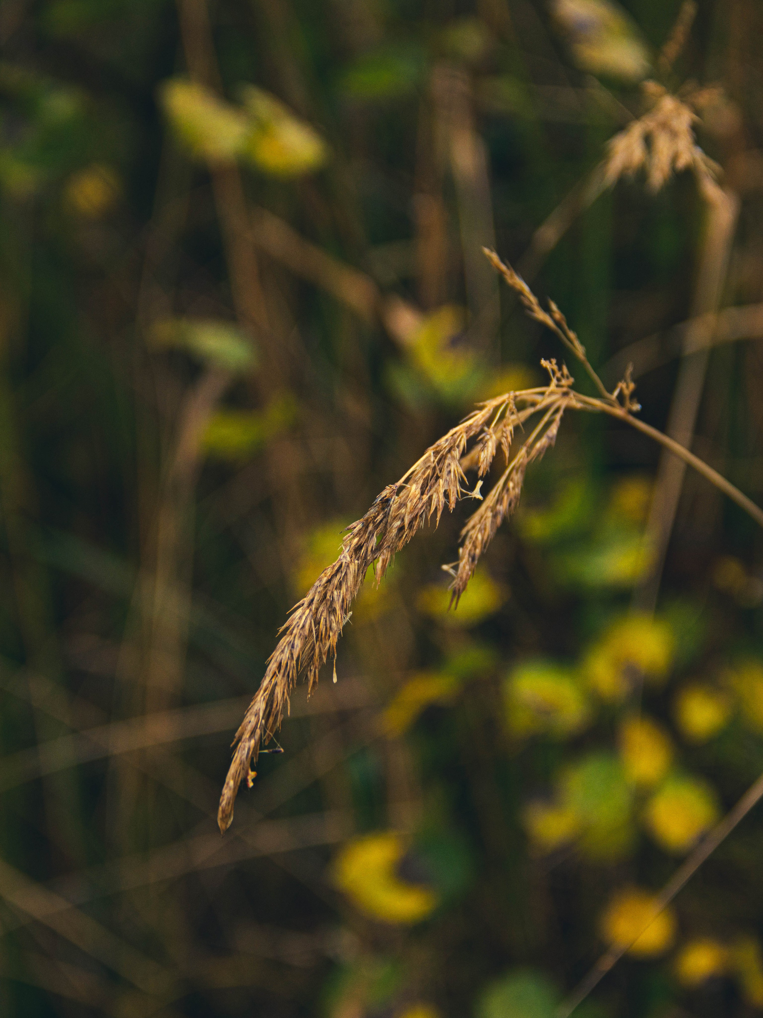 Село Петрилово (28.09.24). «Матрица»