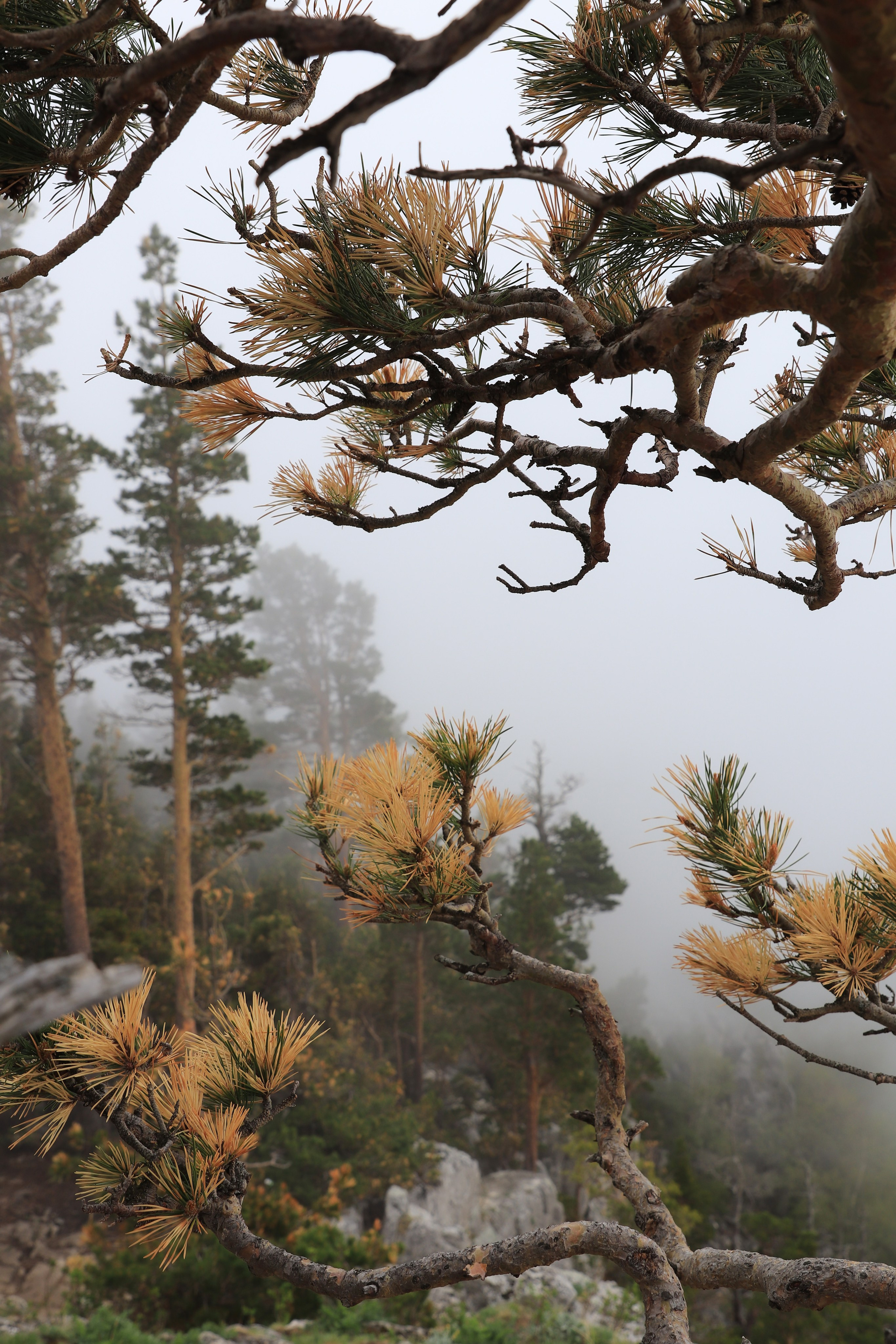 Фотограф Мария Алексеева. Мария Алексеева. Фотограф в Москве