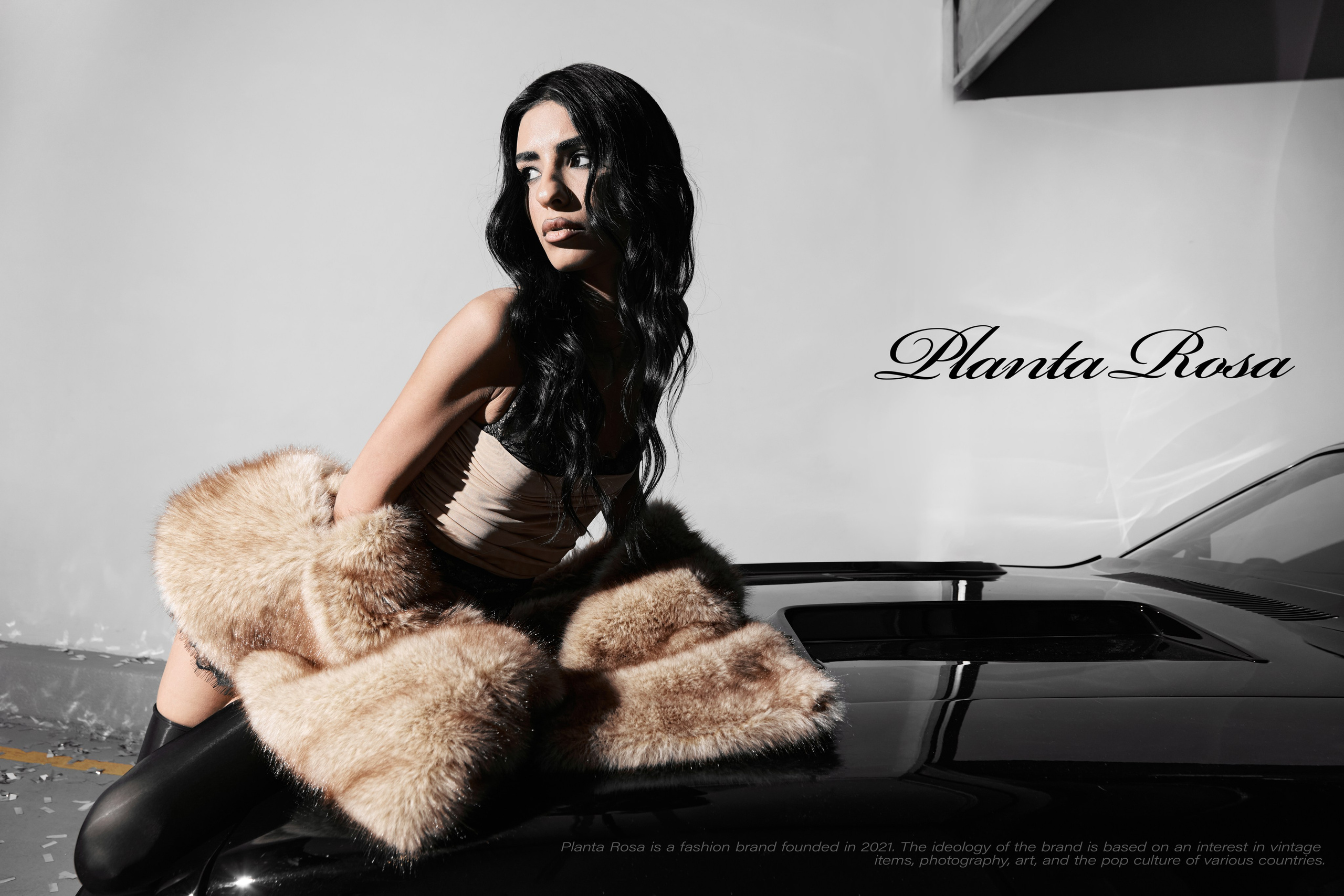 PLANTA ROSA — REPORTAGE