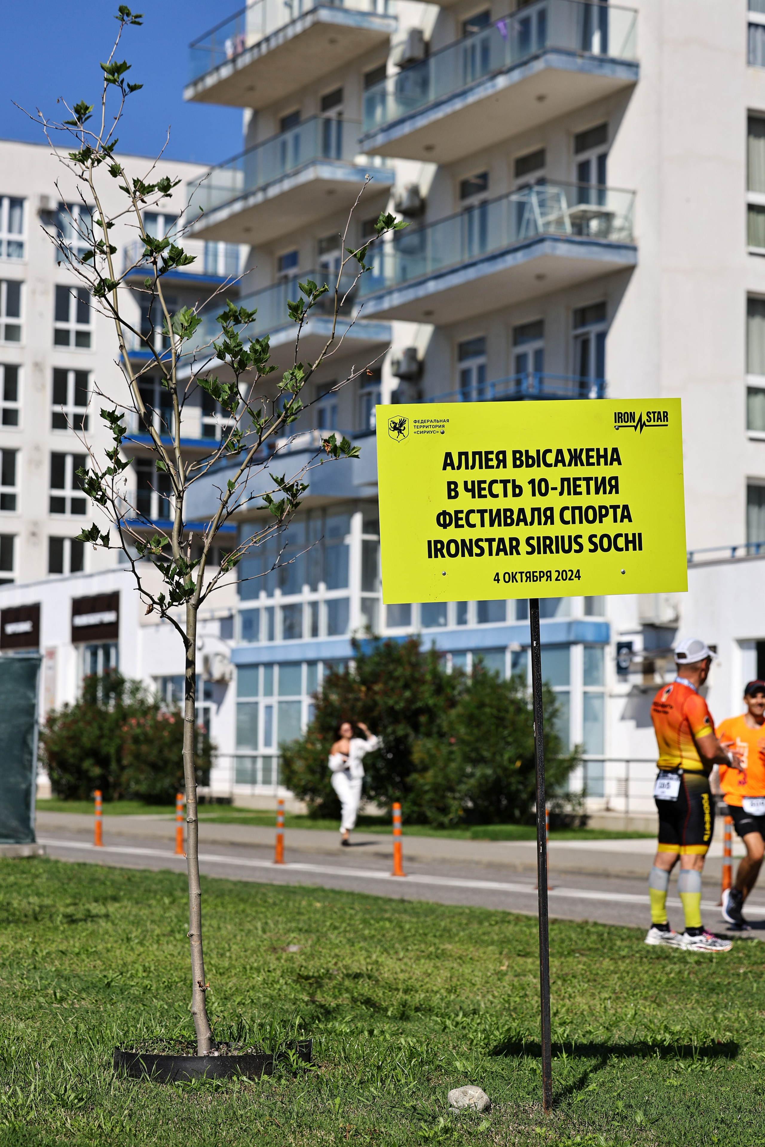 IRONSTAR Сириус 2026. Фототерапевт Ева Бунеева