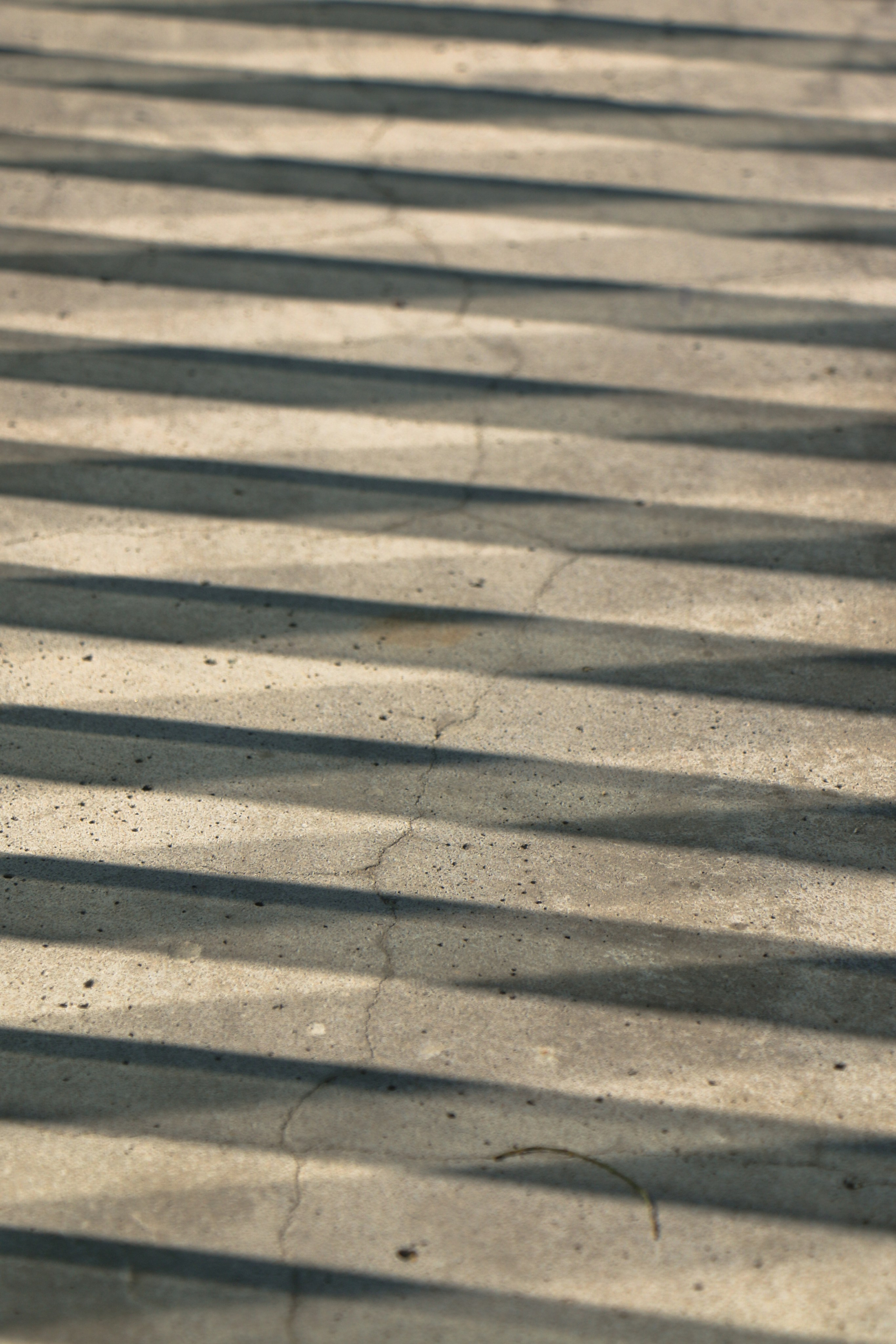 LOCAL. Любовь Моргасова [LU SPRING]: Фотограф и куратор