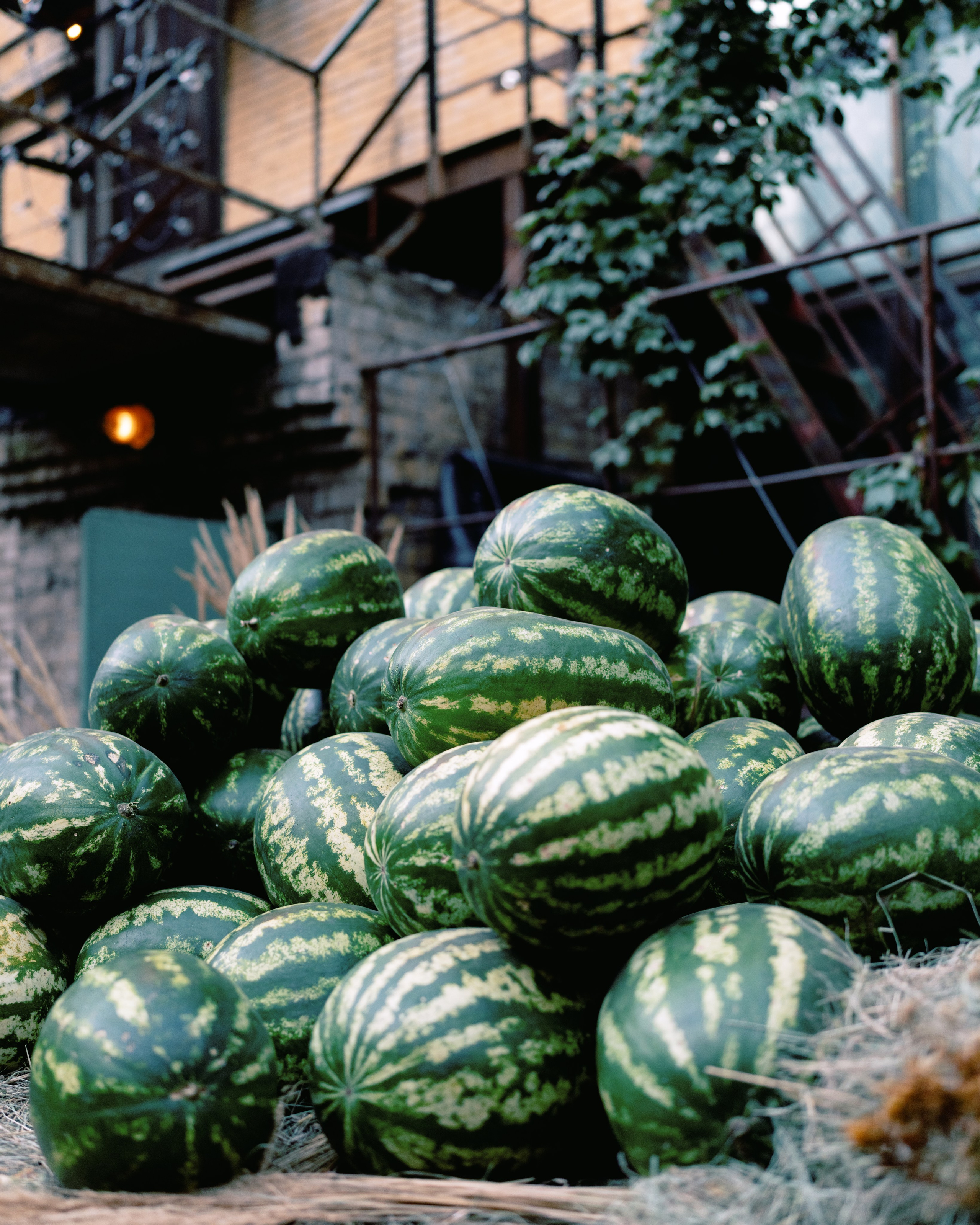 ARMA. @tomrus: Рустам Шагиморданов — фотограф