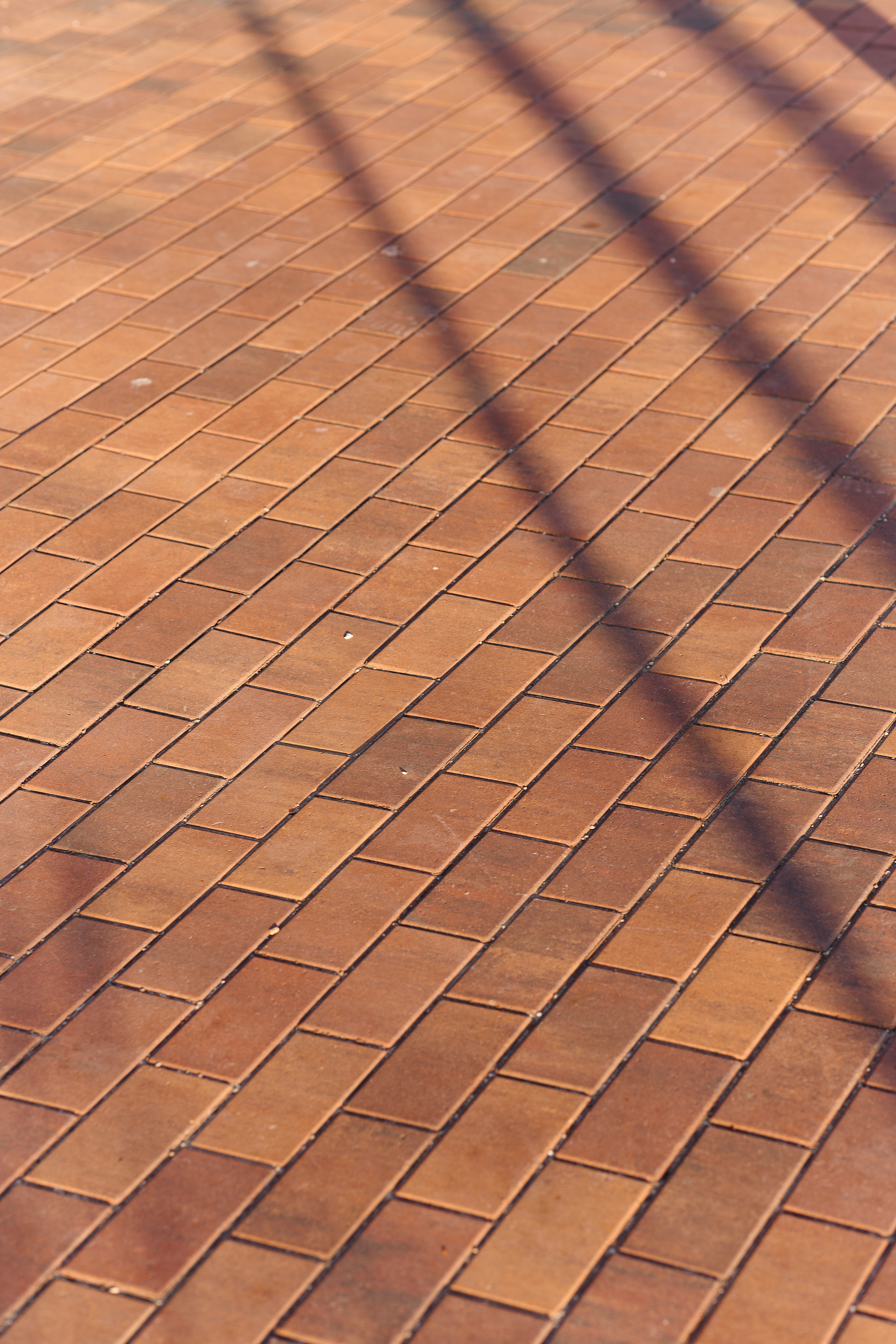 ЖК «Салют» День. Бизнес портрет Аэросъемка Интерьерная съемка Тюмень