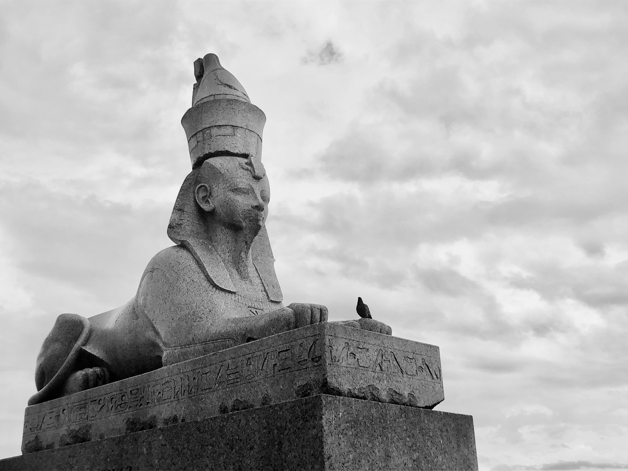 Frame 34 / 34 кадр. Художник Катерина Копейкина / Artist Katerina Kopeikina