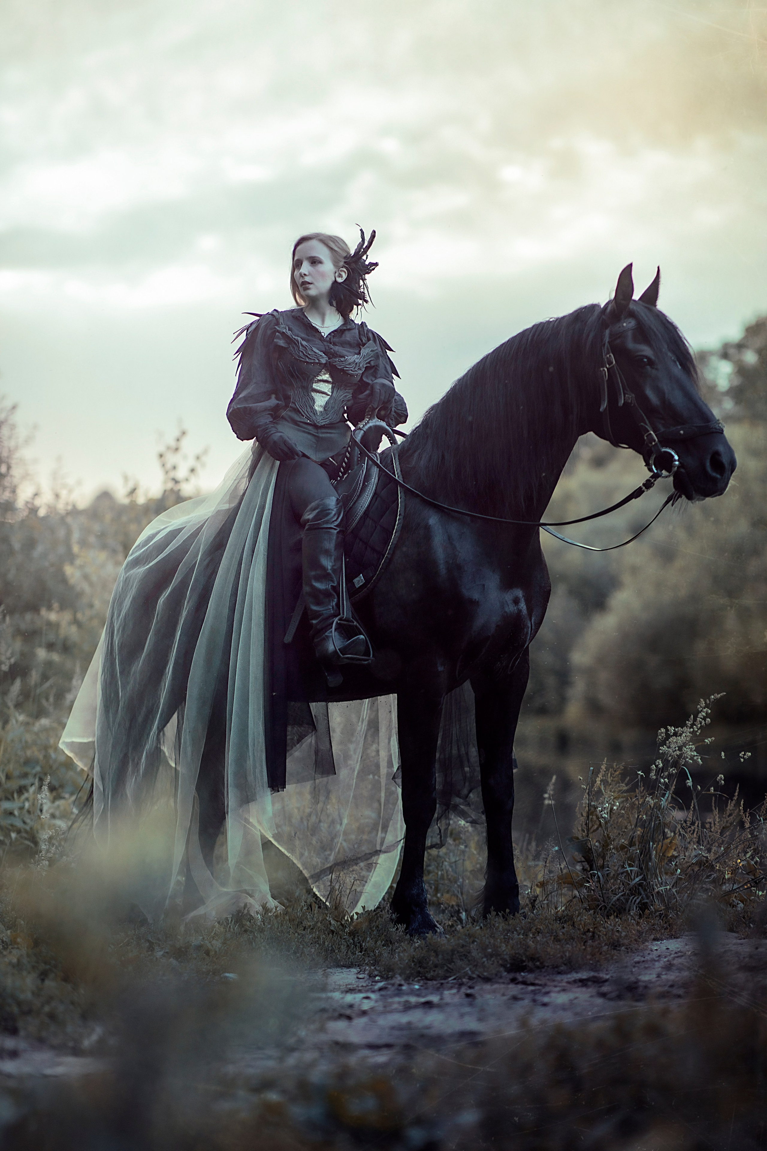 Фотосессии с лошадью. Фотосессия с лошадьми