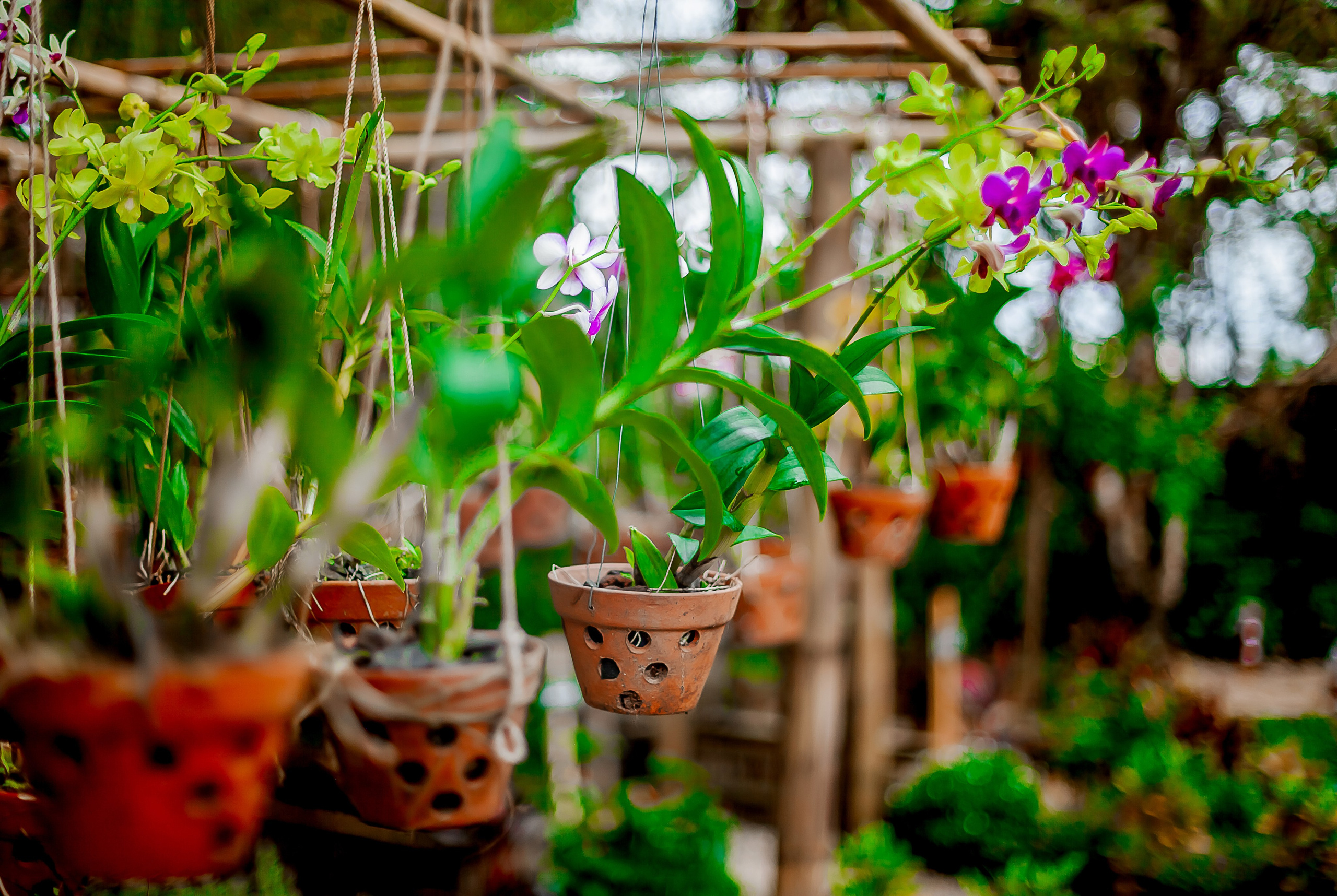 Репортажный фотограф Ялта. Репортажный фотограф Ялта