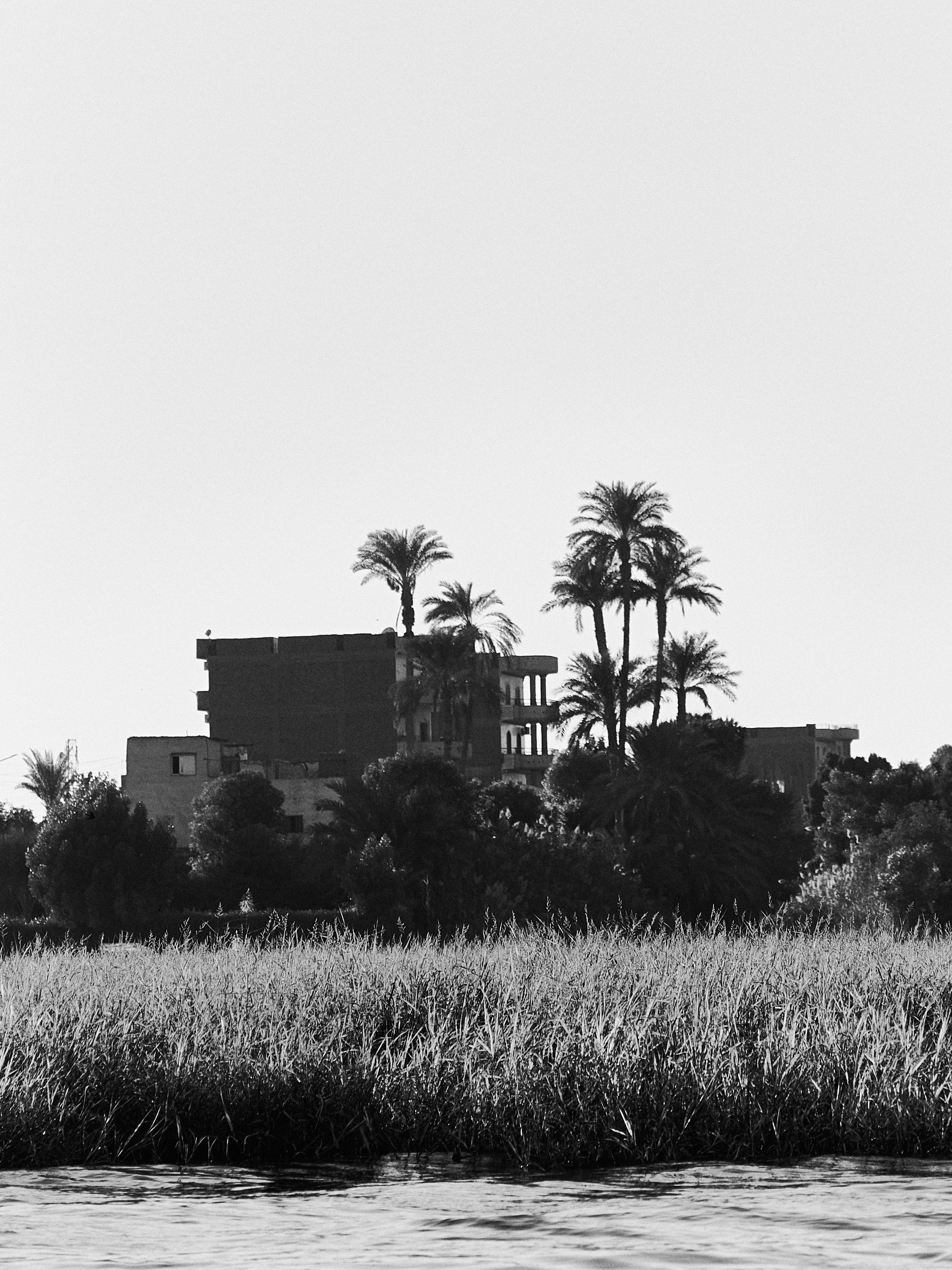 Другое 4. Jorgis — фотограф в Хургаде / обучение фотографии