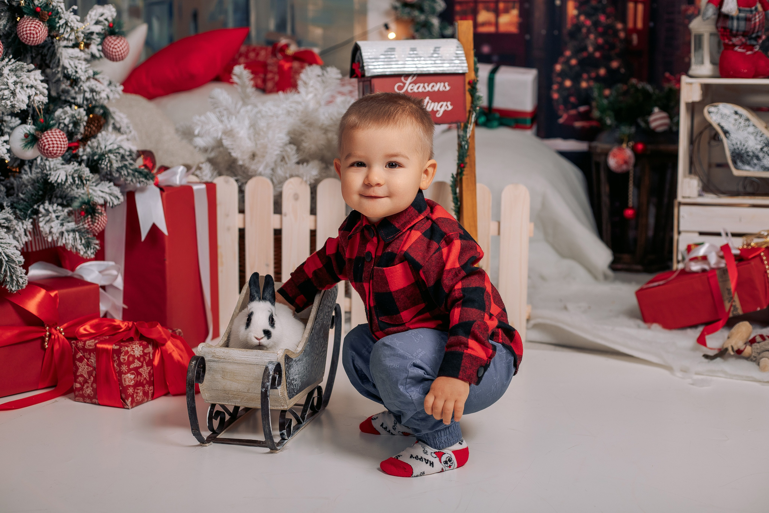 Новогодняя фотосессия фотодень спб с кроликами. Фотограф в Санкт-Петербурге, Анна Скворцова