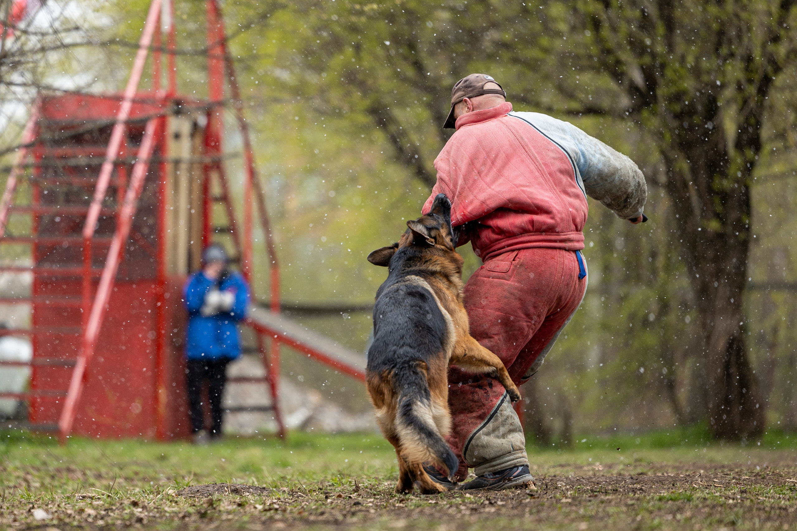 Квалификационные состязания по мондьорингу г. Вологда 11.05.24. Фотограф-анималист Анна Маринич