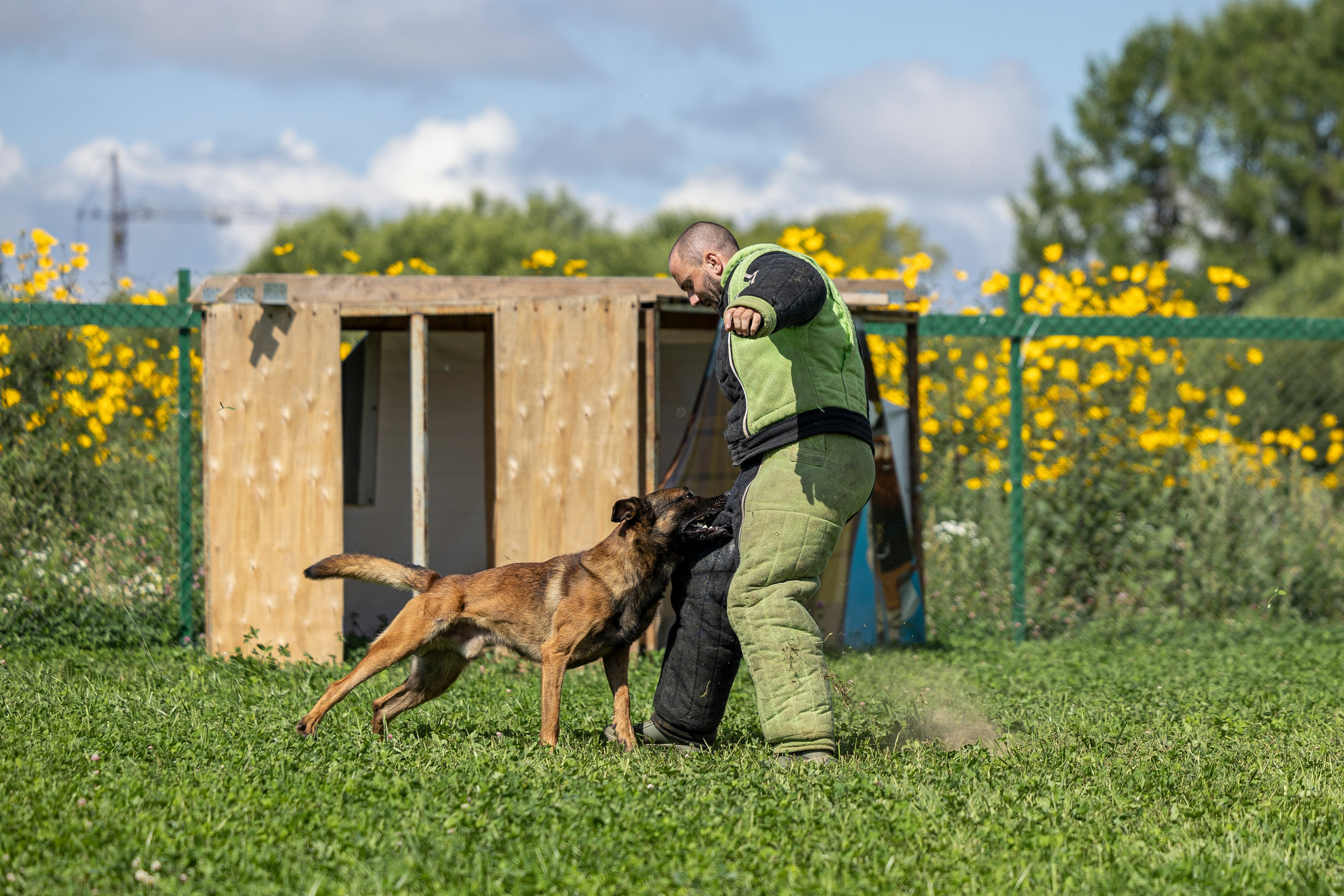 Соревнования по Мондьорингу г. Вологда 10-11.08.2024. Фотограф-анималист Анна Маринич