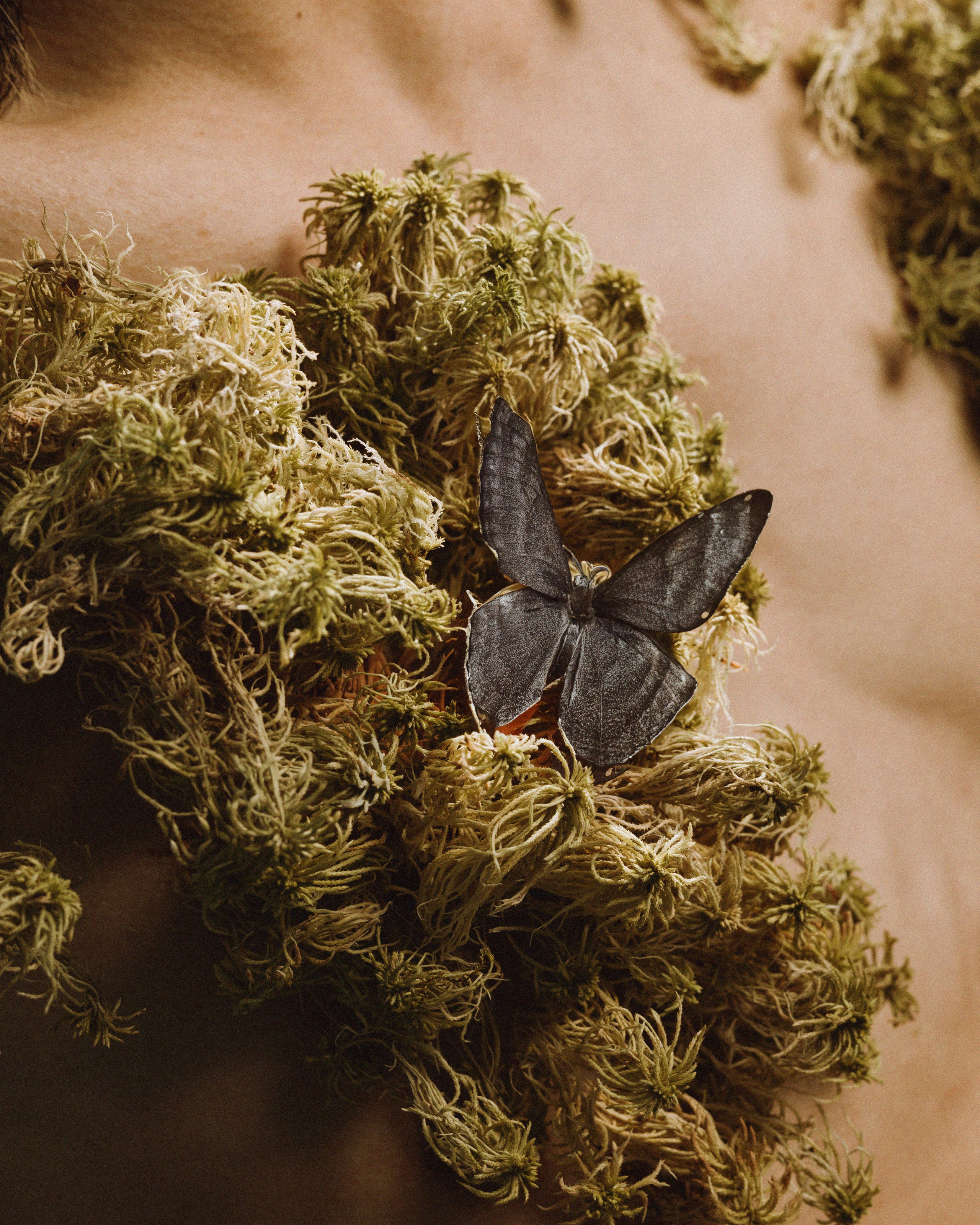 Kostya. NarvalPhotographer — Владимир Кортиков — фотограф из Санкт-Петербурга