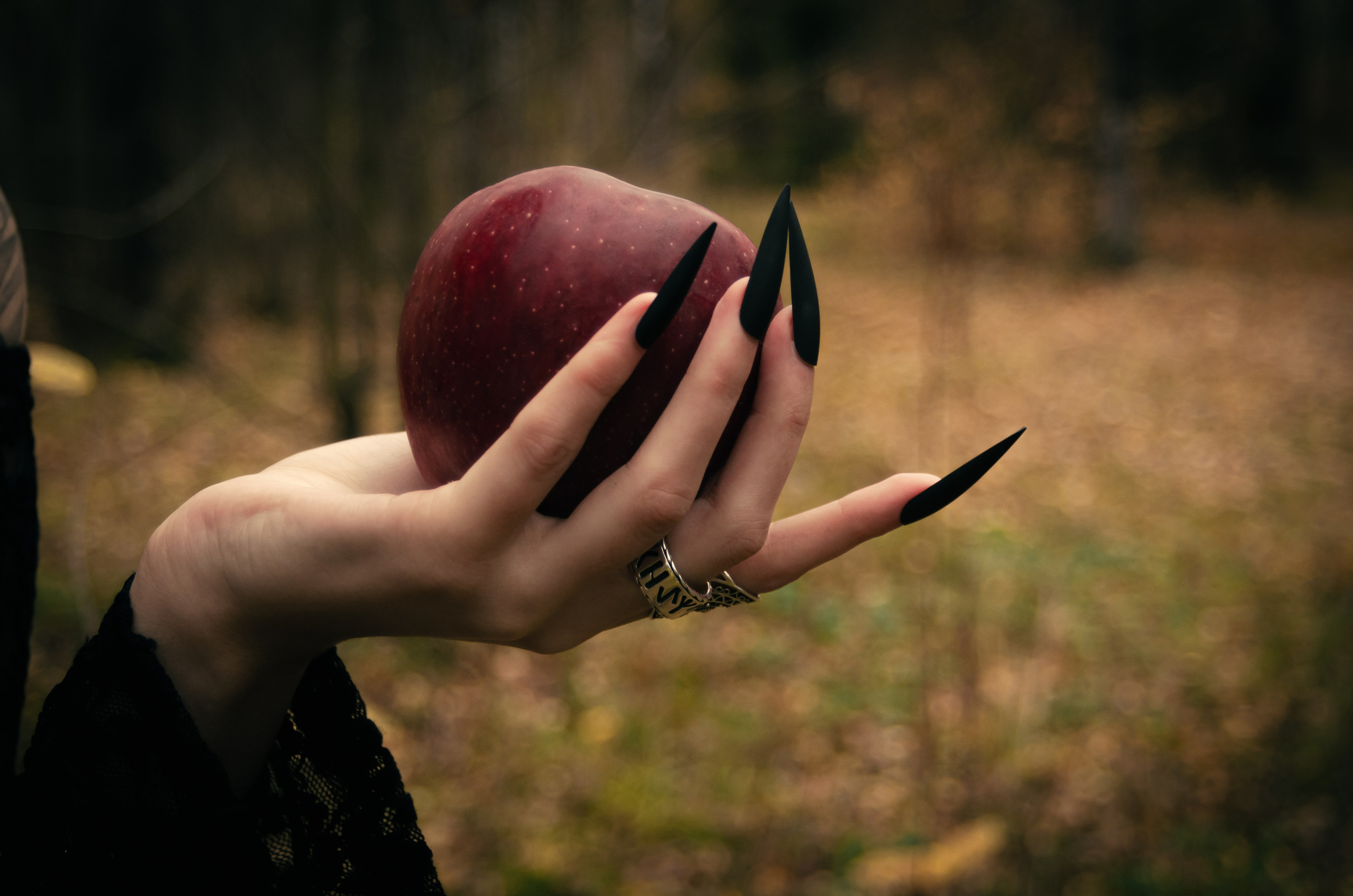 Прогулка ведьмы. Фотосессии по мотивам сказок и фильмов — Катерина Исауленко. СПб