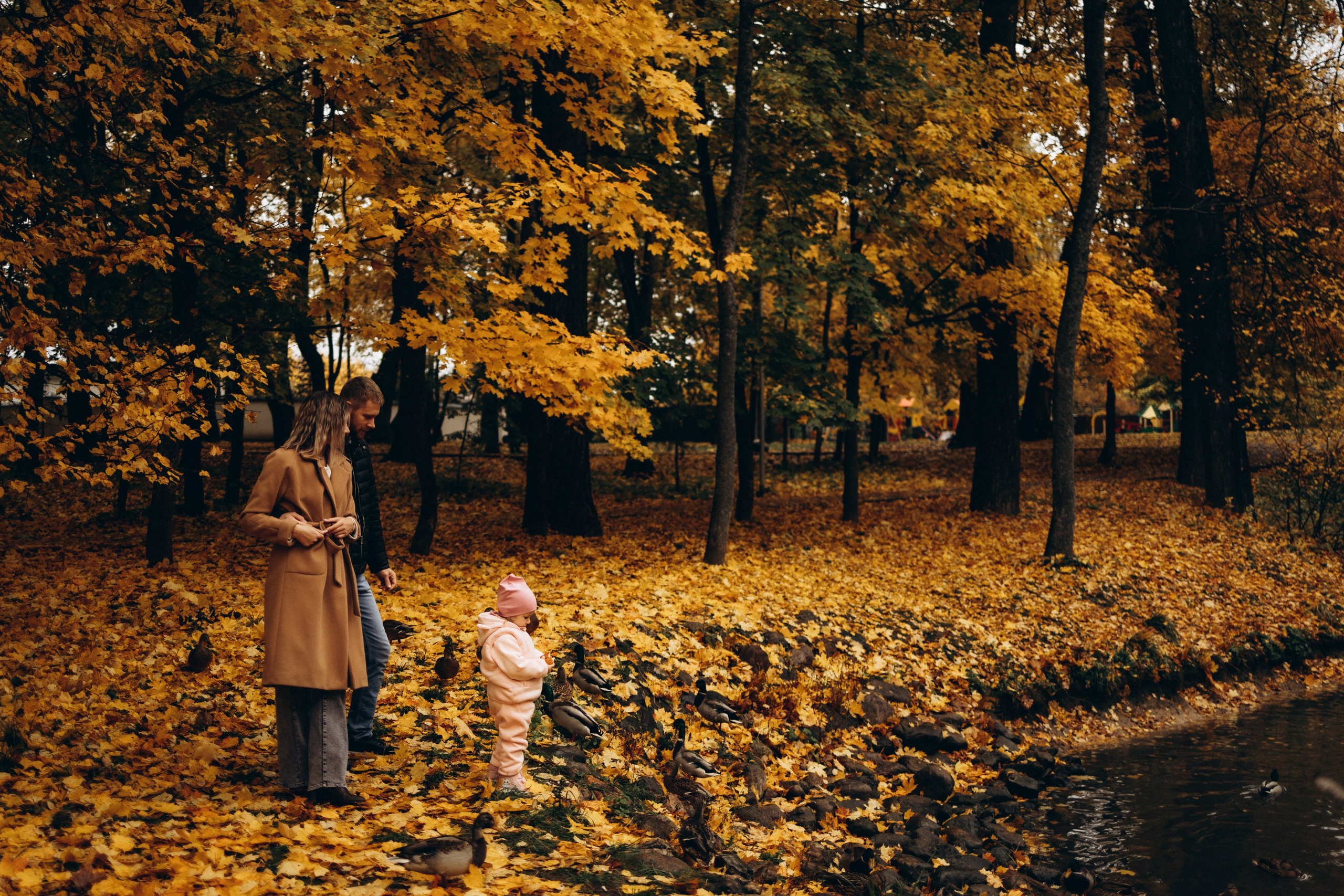 Осенняя семейная фотосъемка (11.10.2025 г.) г. Обнинск (Калужская обл.). Надежда Стар семейный и церковный фотограф в Жукове и Калужской области