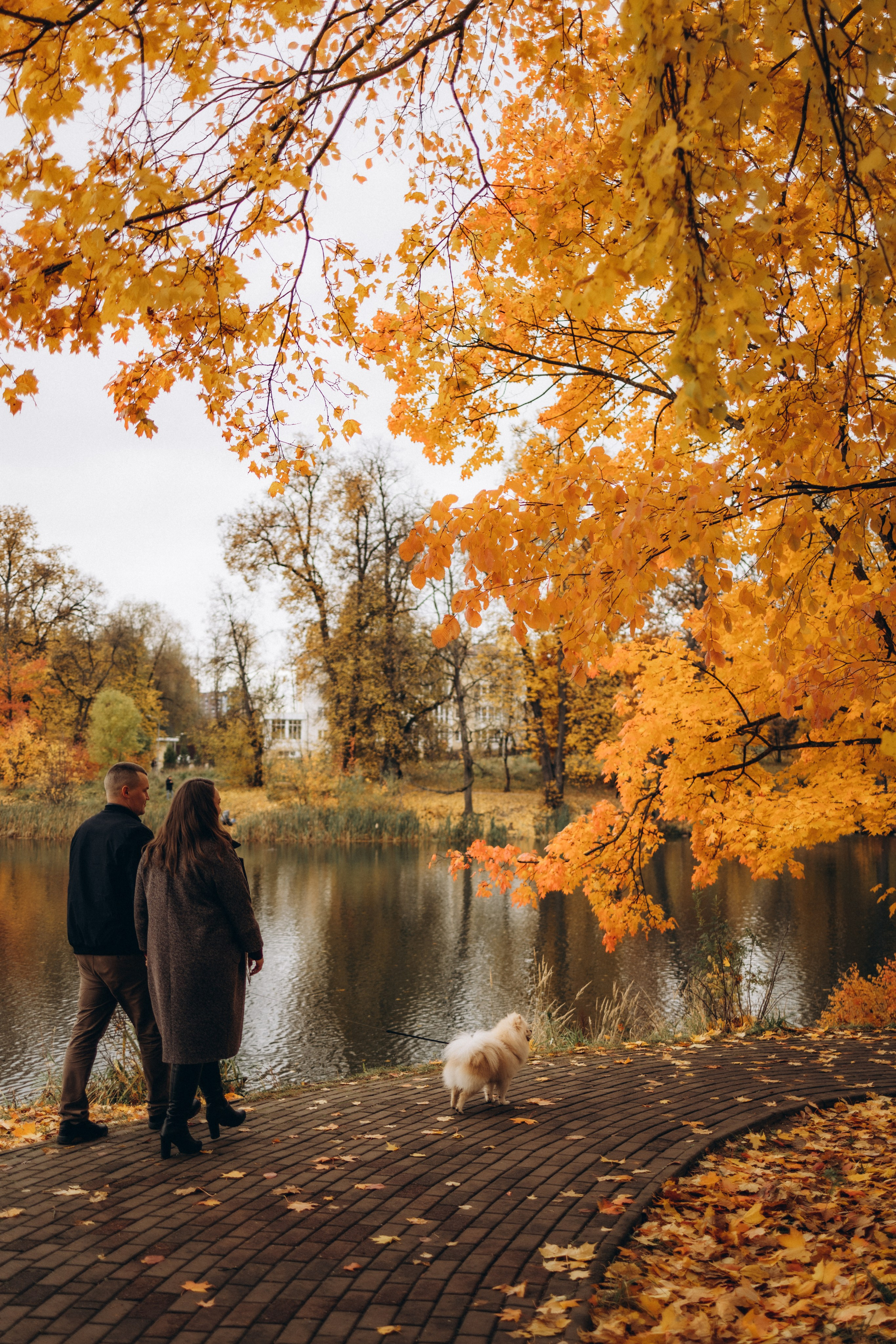Осенняя семейная (12.10.2025 г.) г. Обнинск (Калужская обл.). Надежда Стар семейный и церковный фотограф в Жукове и Калужской области