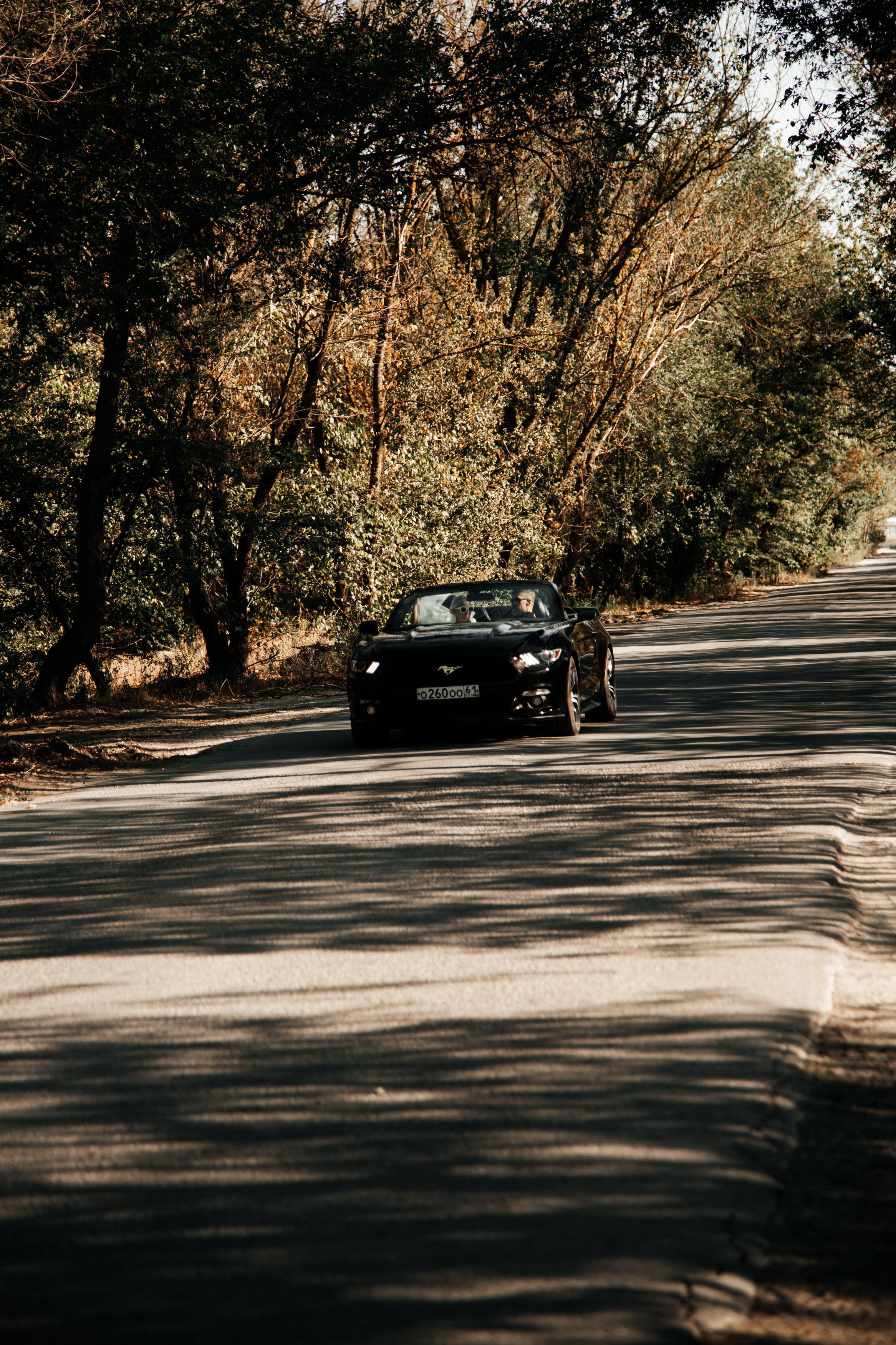 Свадьба Сергея и Юлии