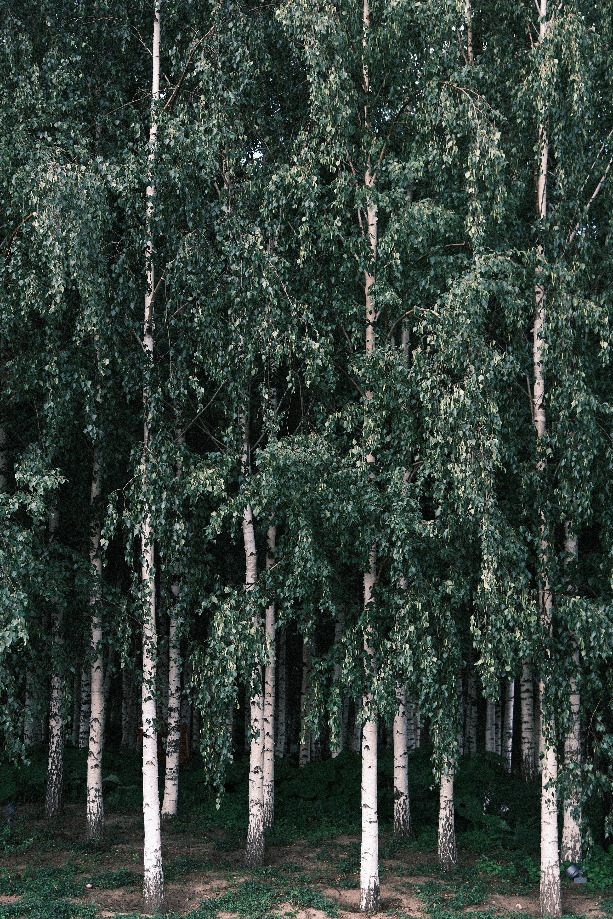 Moscow Selection. M. Neizvestniy — уличная и спортивная фотография